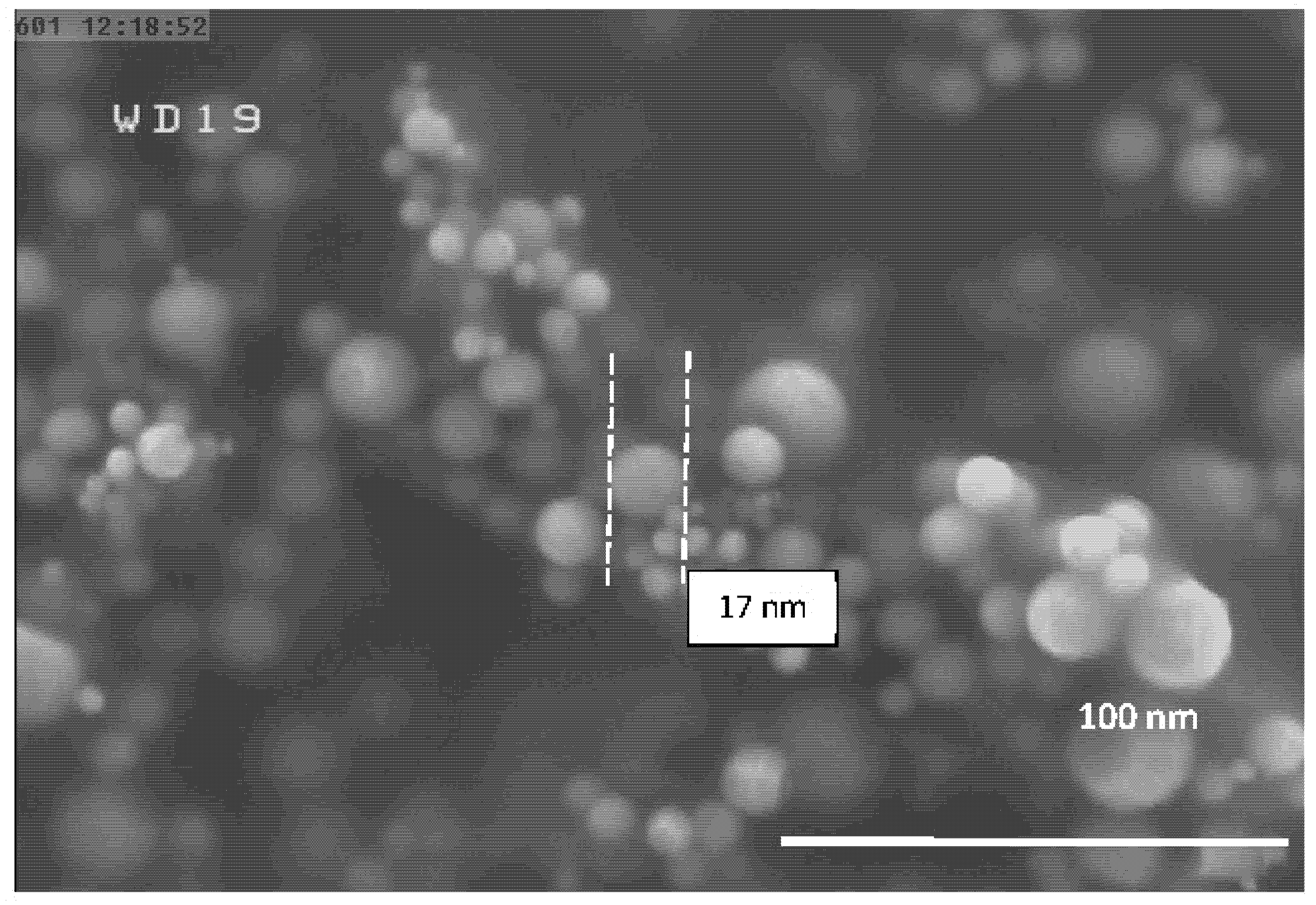Nanomaterials 10 02084 g007