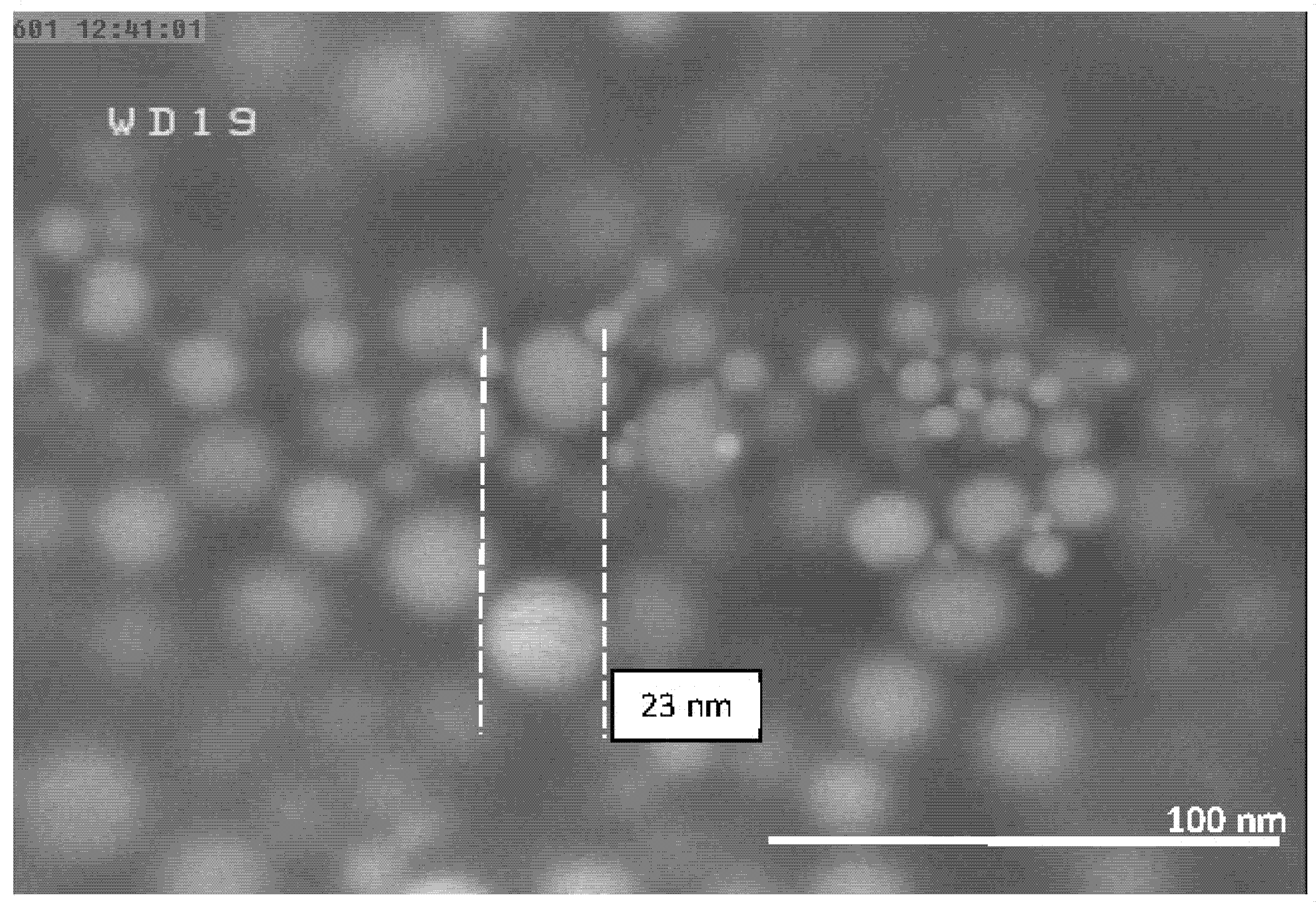 Nanomaterials 10 02084 g008