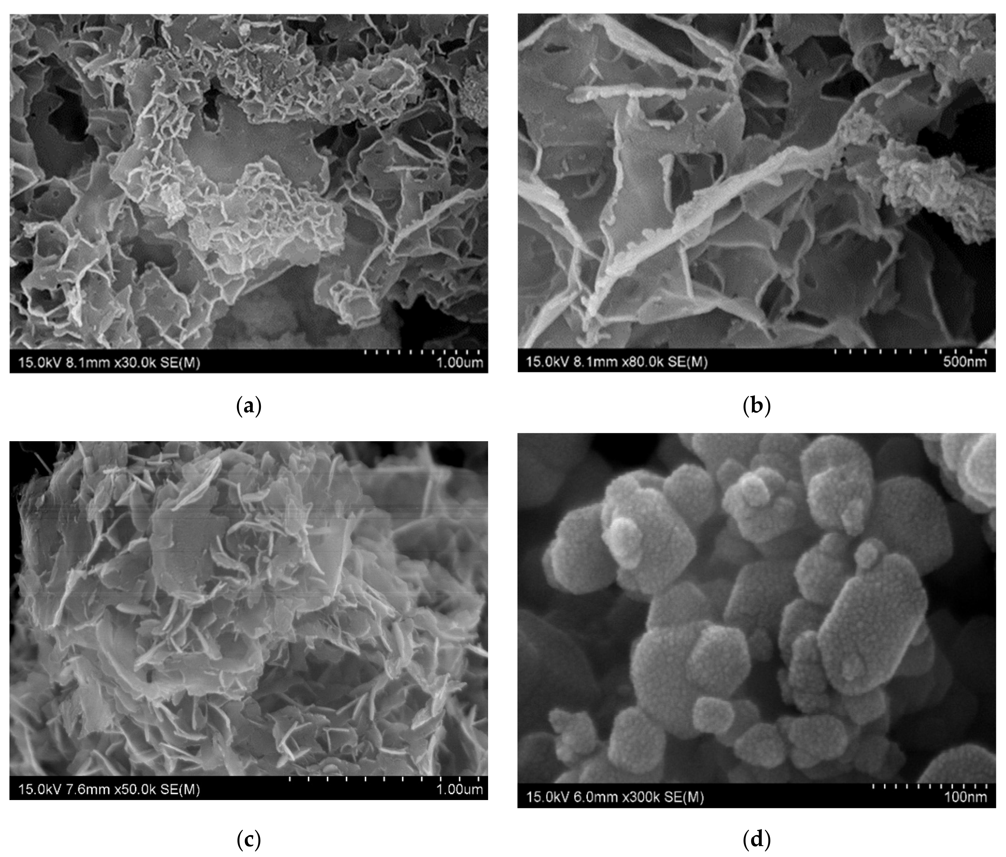 Nanomaterials 10 02086 g001a Nanomaterials 10 02086 g001a