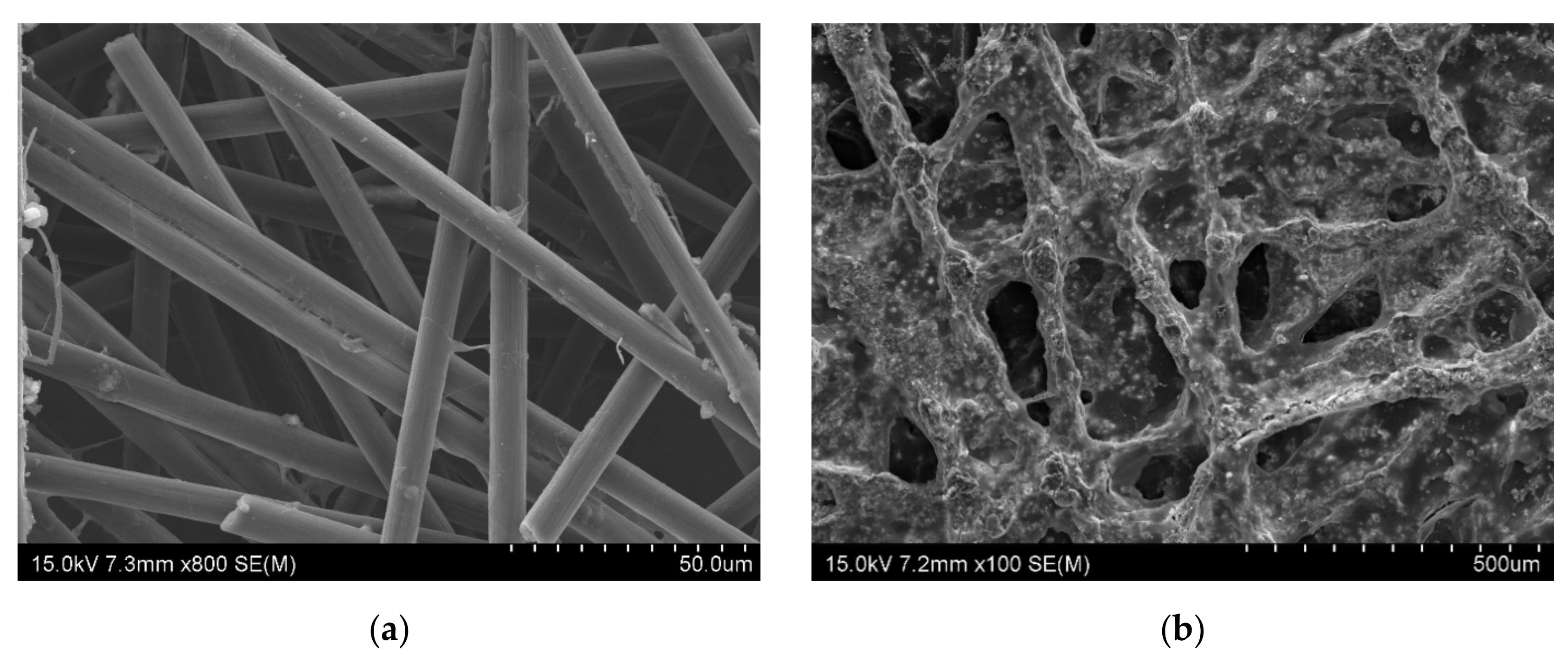 Nanomaterials 10 02086 g002a Nanomaterials 10 02086 g002a
