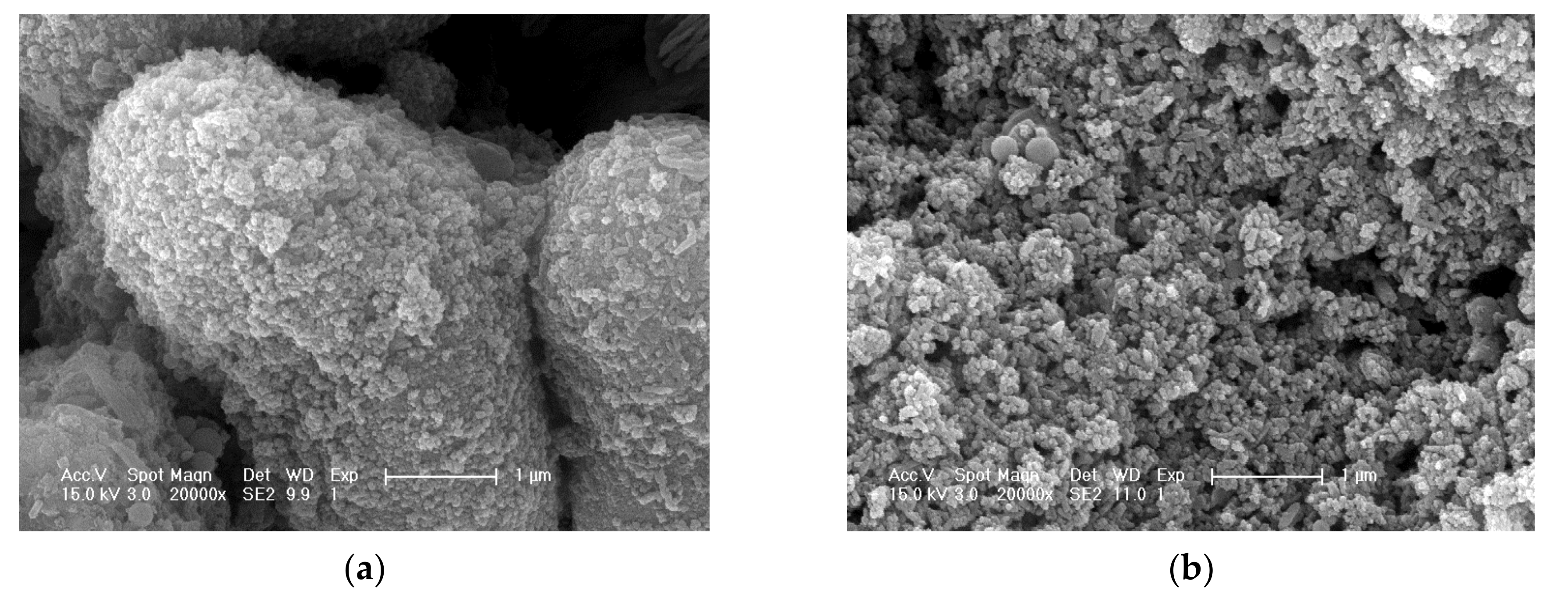 Nanomaterials 10 02088 g002 Nanomaterials 10 02088 g002