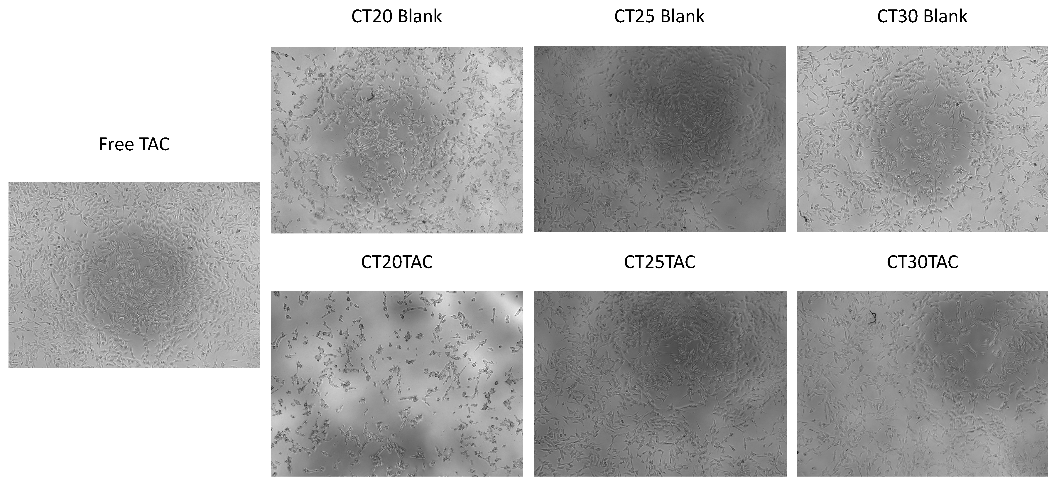 Nanomaterials 10 02089 g006