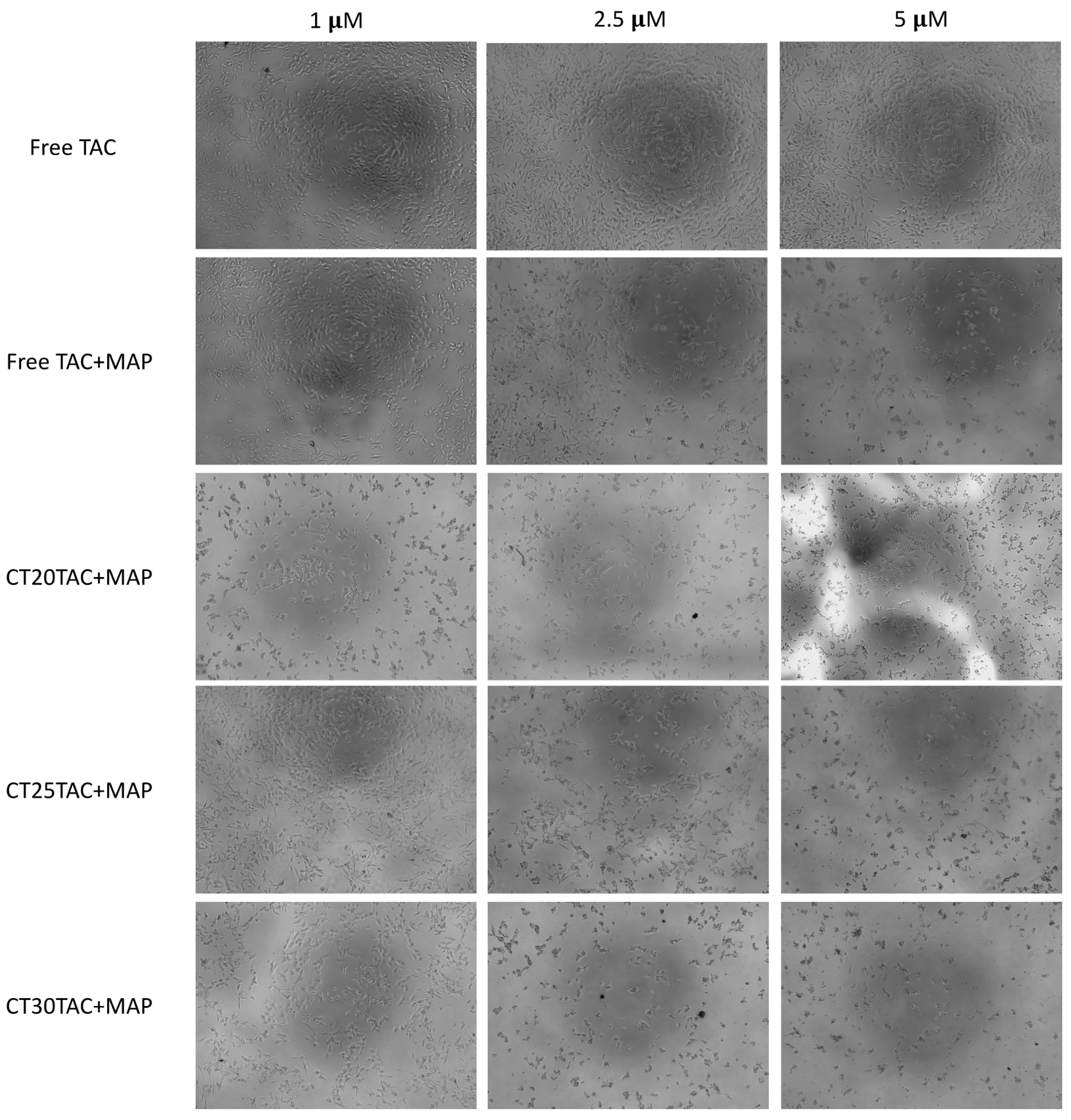 Nanomaterials 10 02089 g008