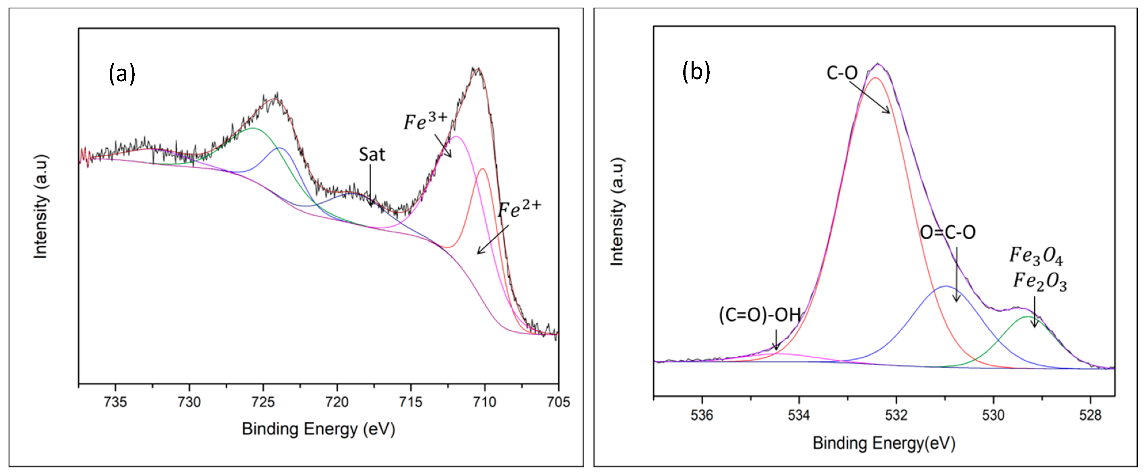 Nanomaterials 10 02099 g002