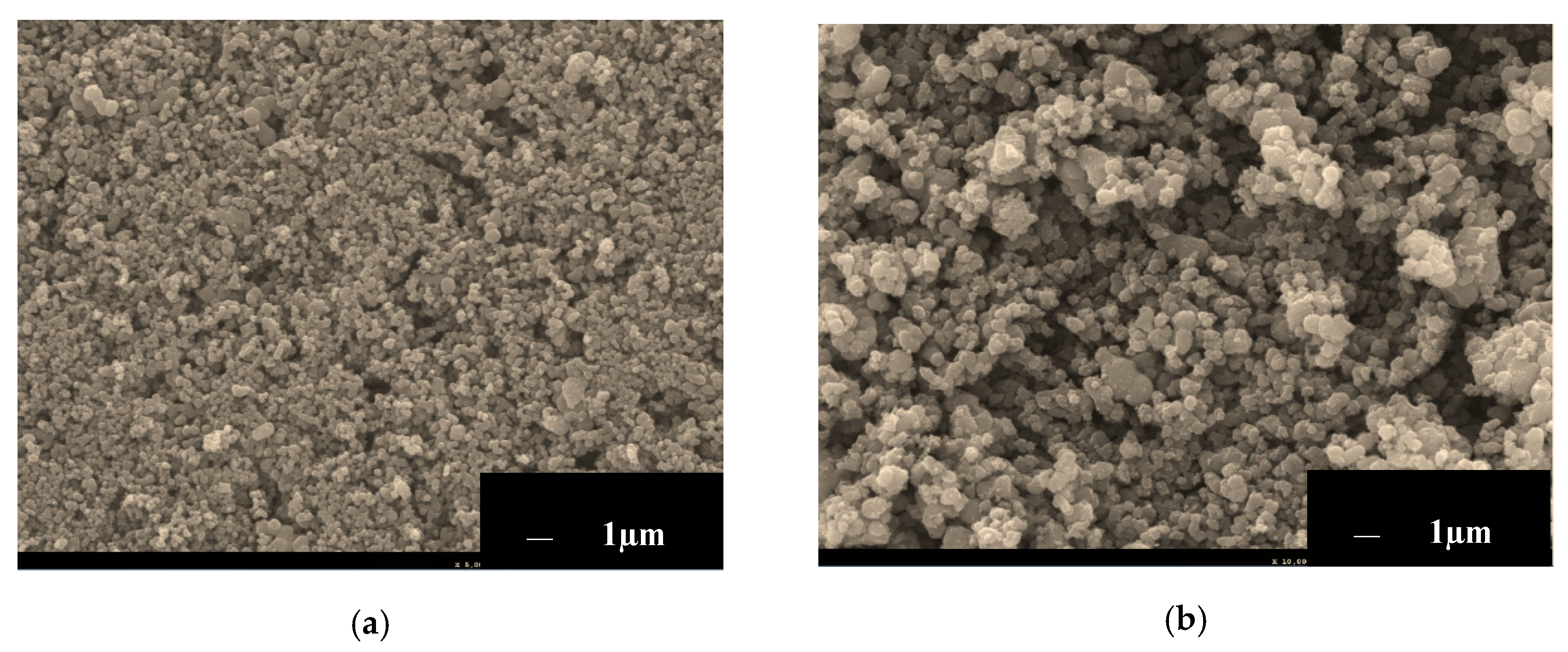 Nanomaterials 10 02111 g009