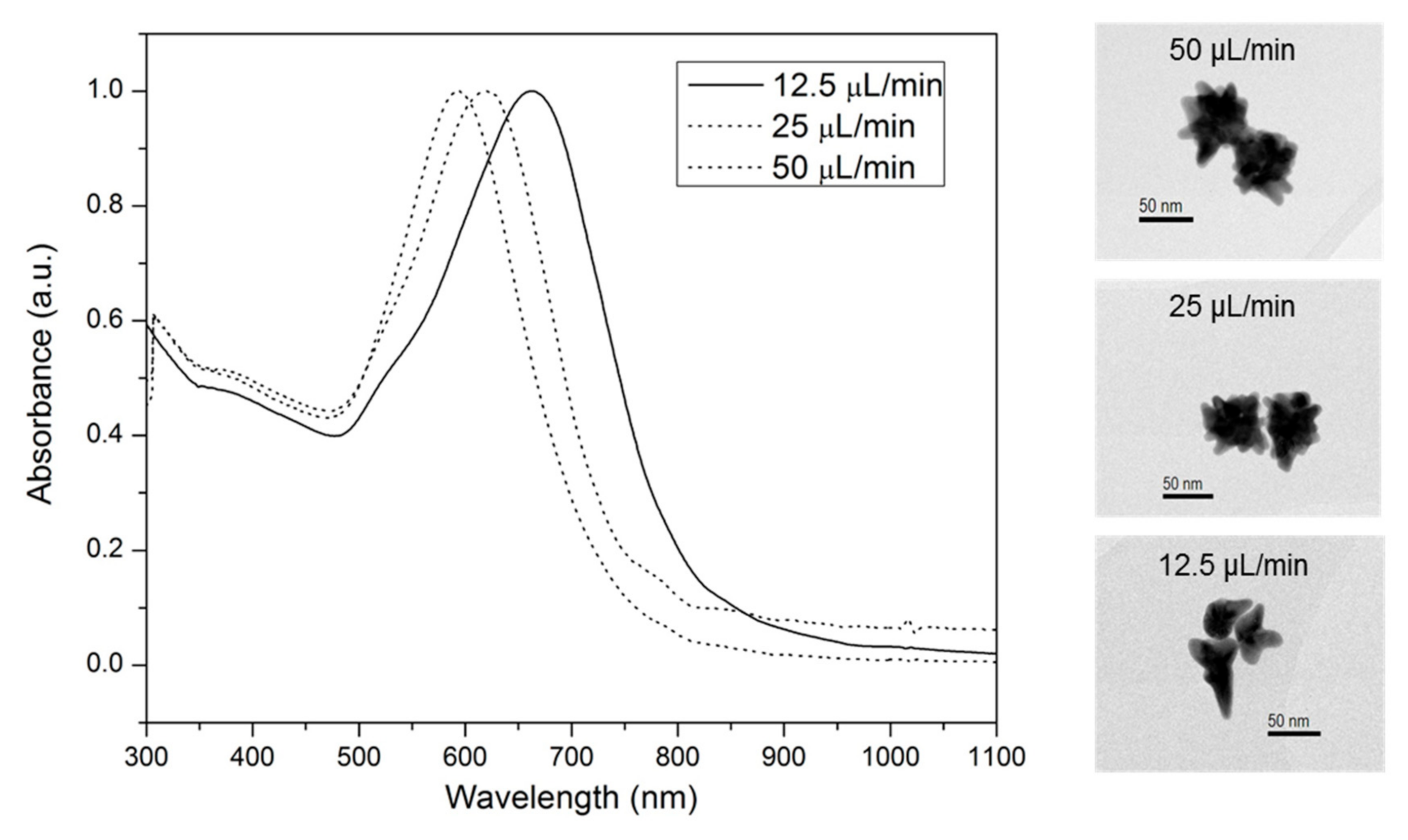 Nanomaterials 10 02112 g001