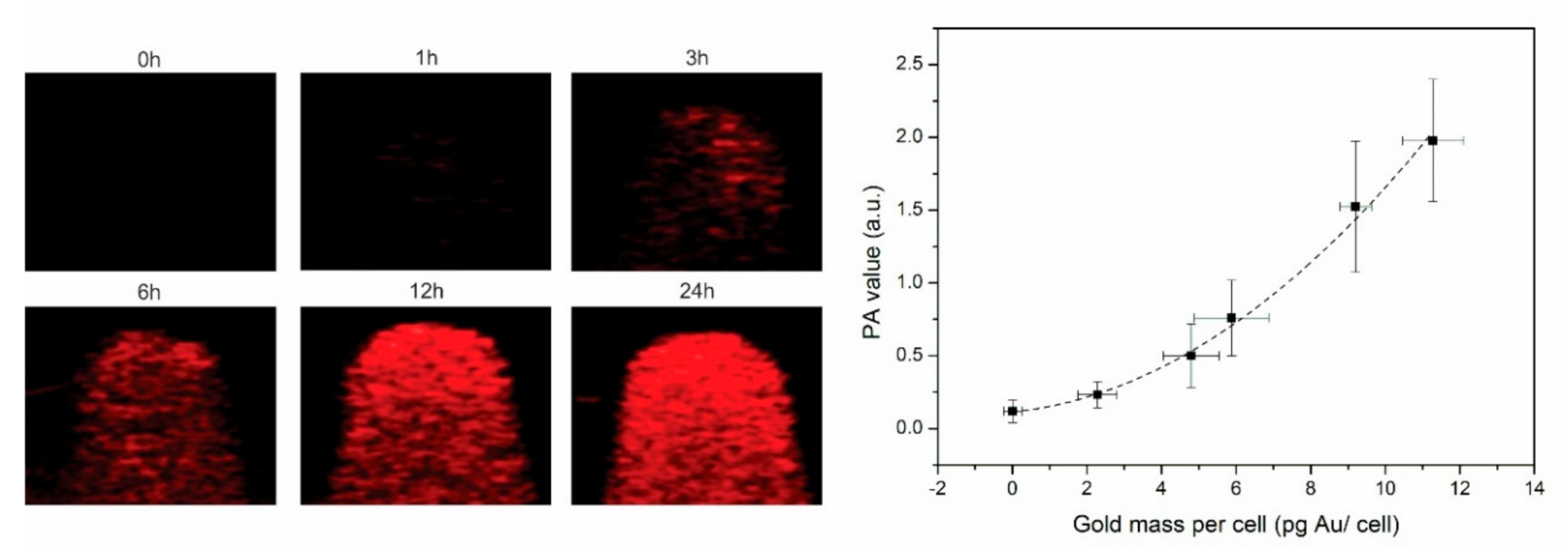 Nanomaterials 10 02112 g003