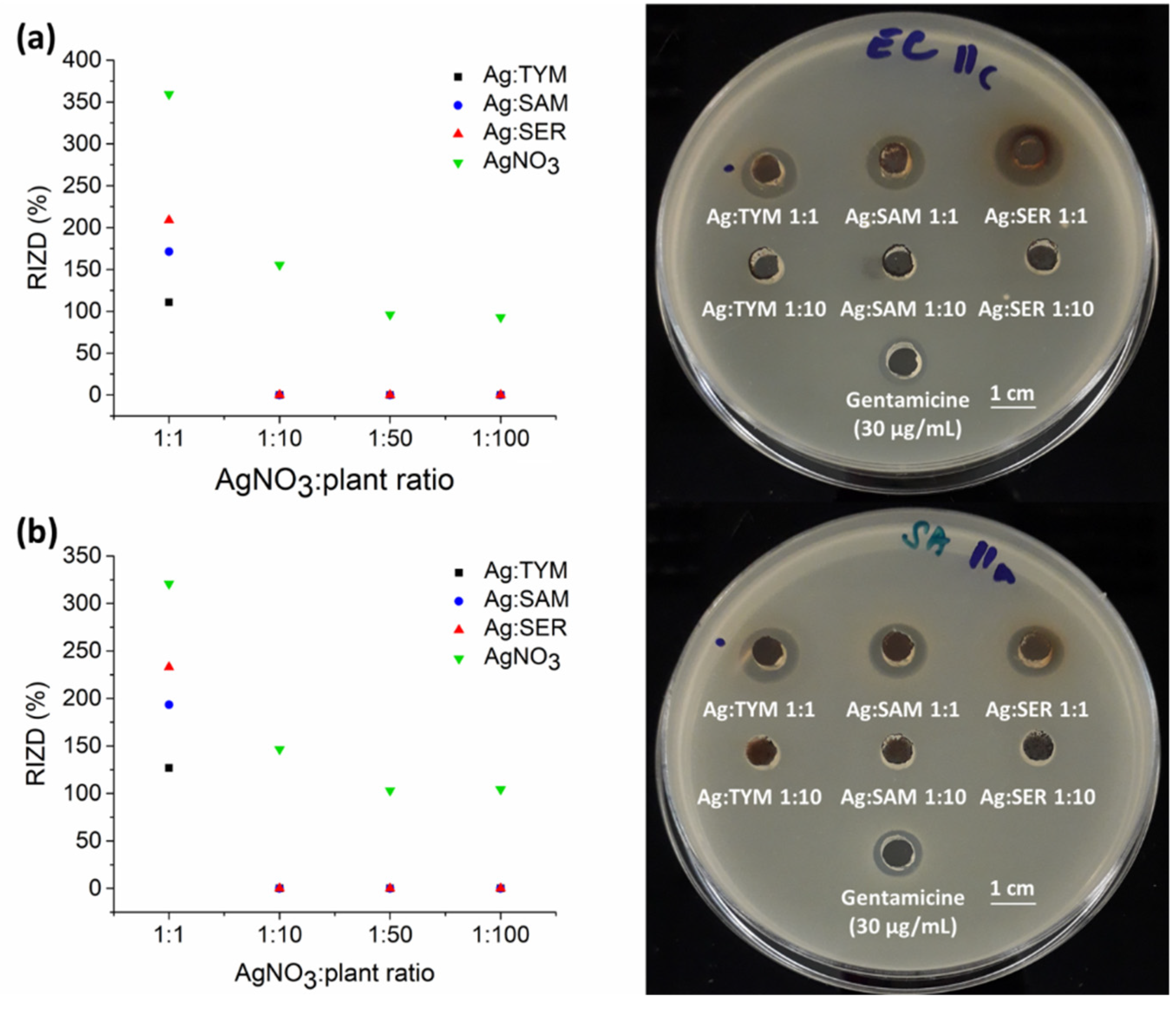 Nanomaterials 10 02119 g011 Nanomaterials 10 02119 g011