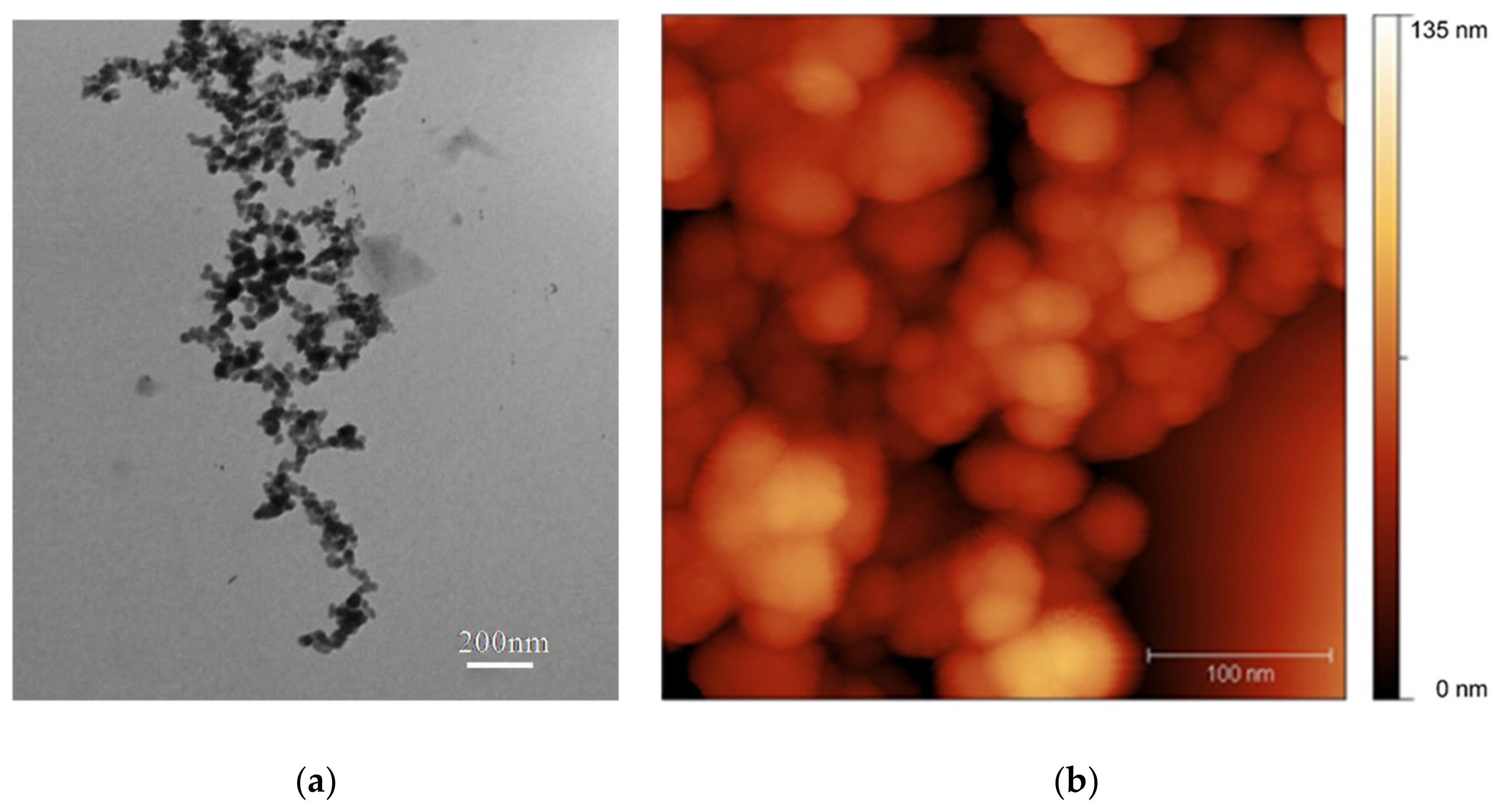 Nanomaterials 10 02126 g002