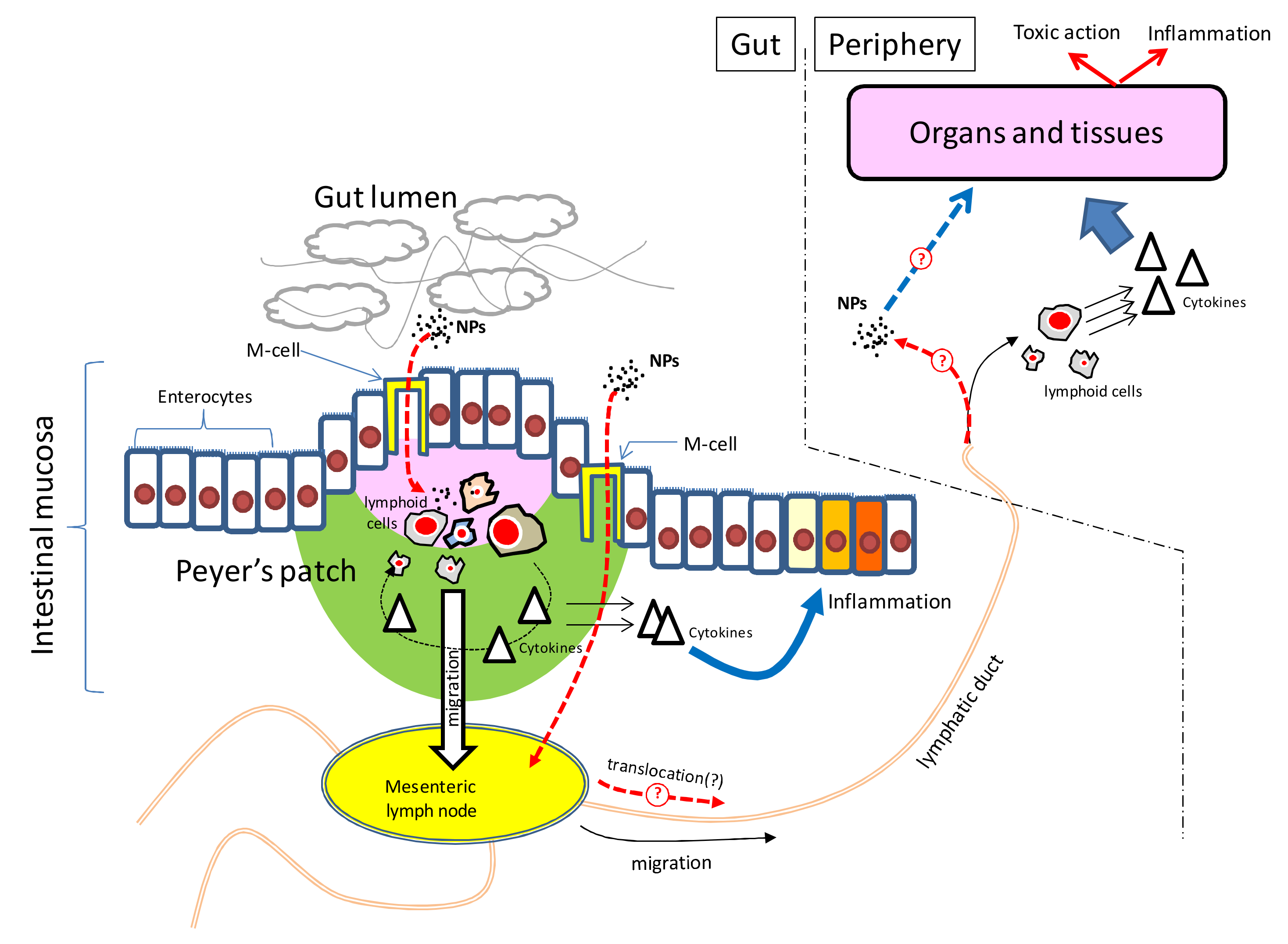 Nanomaterials 10 02126 g007