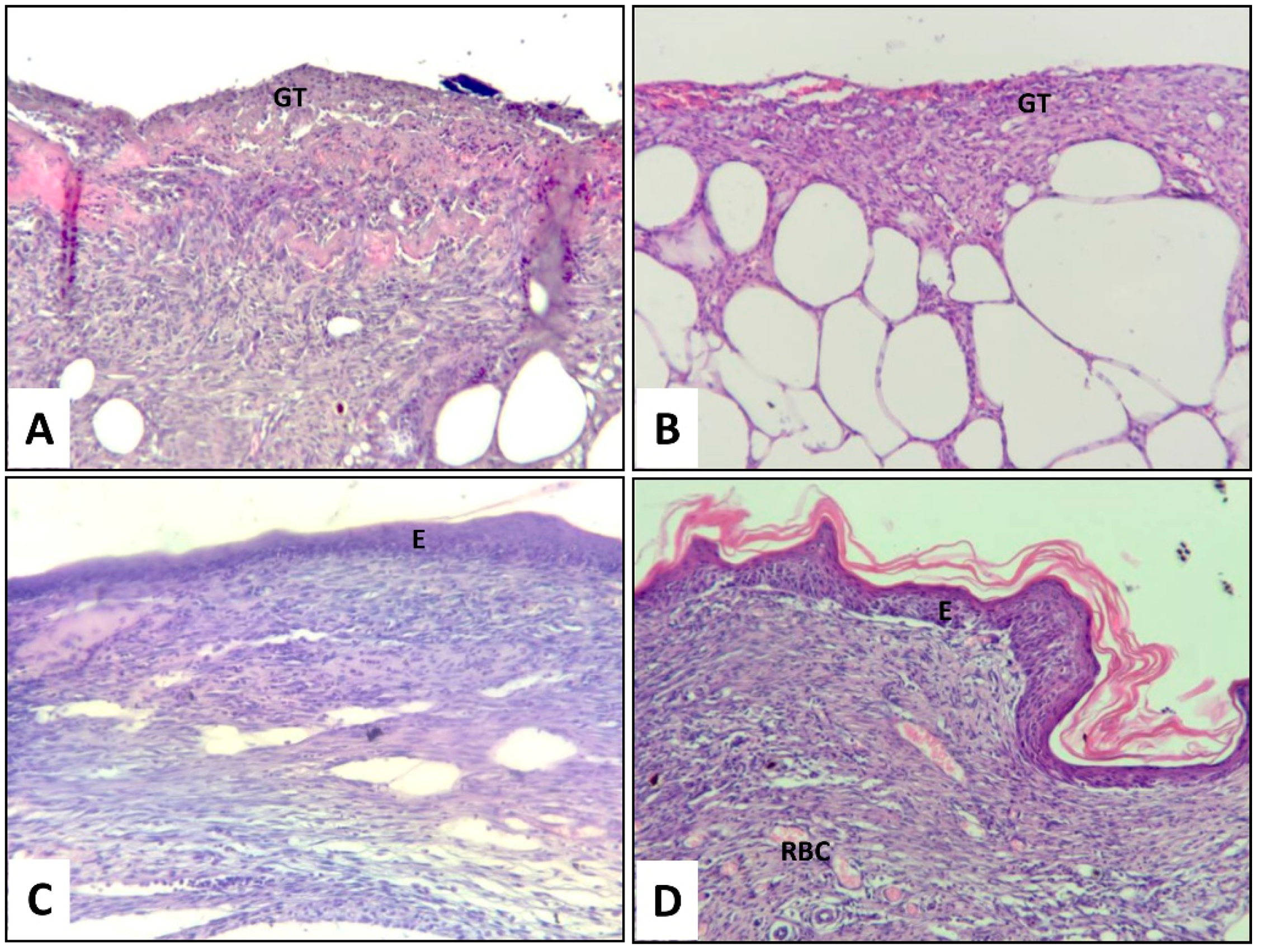 Nanomaterials 10 02128 g005