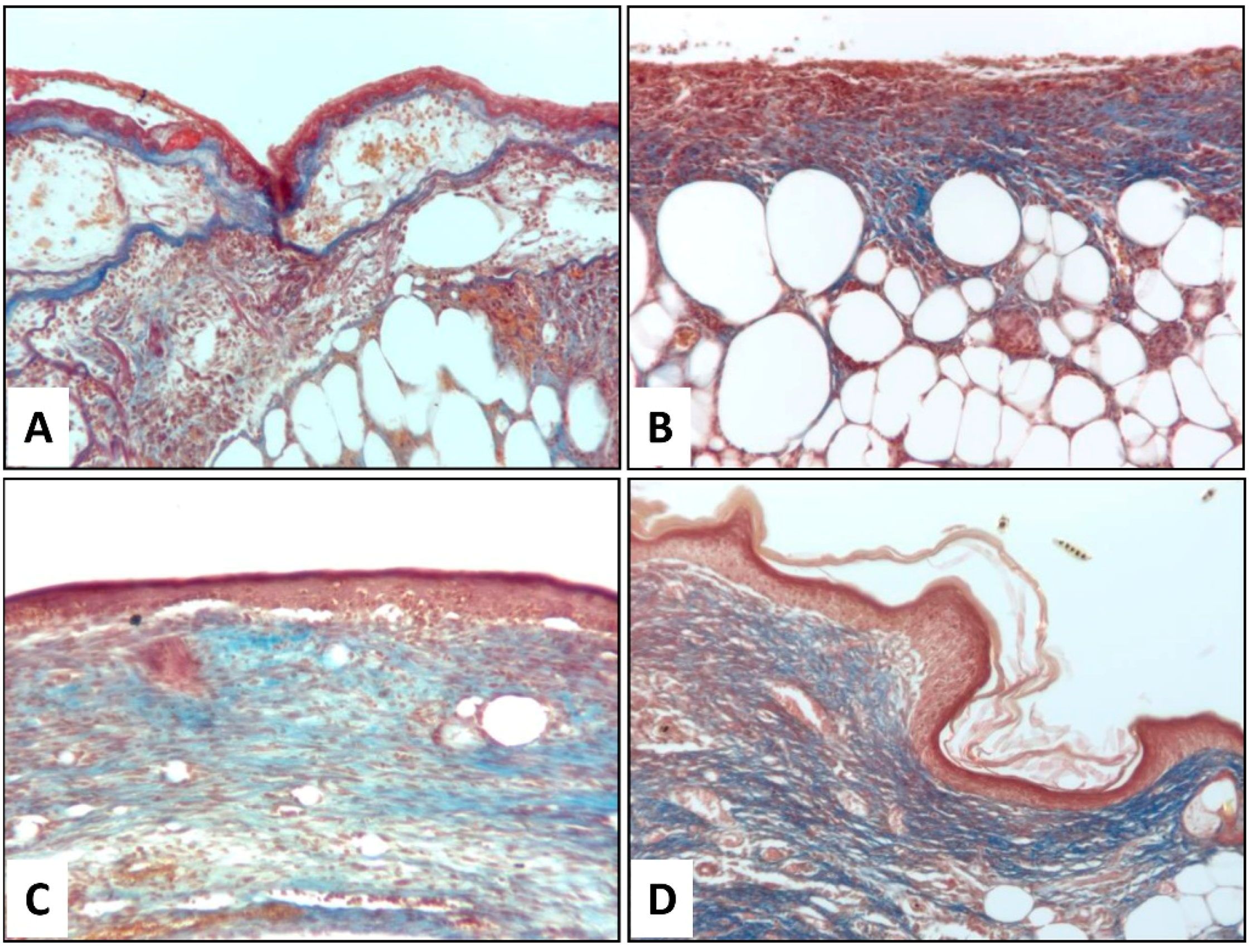 Nanomaterials 10 02128 g006