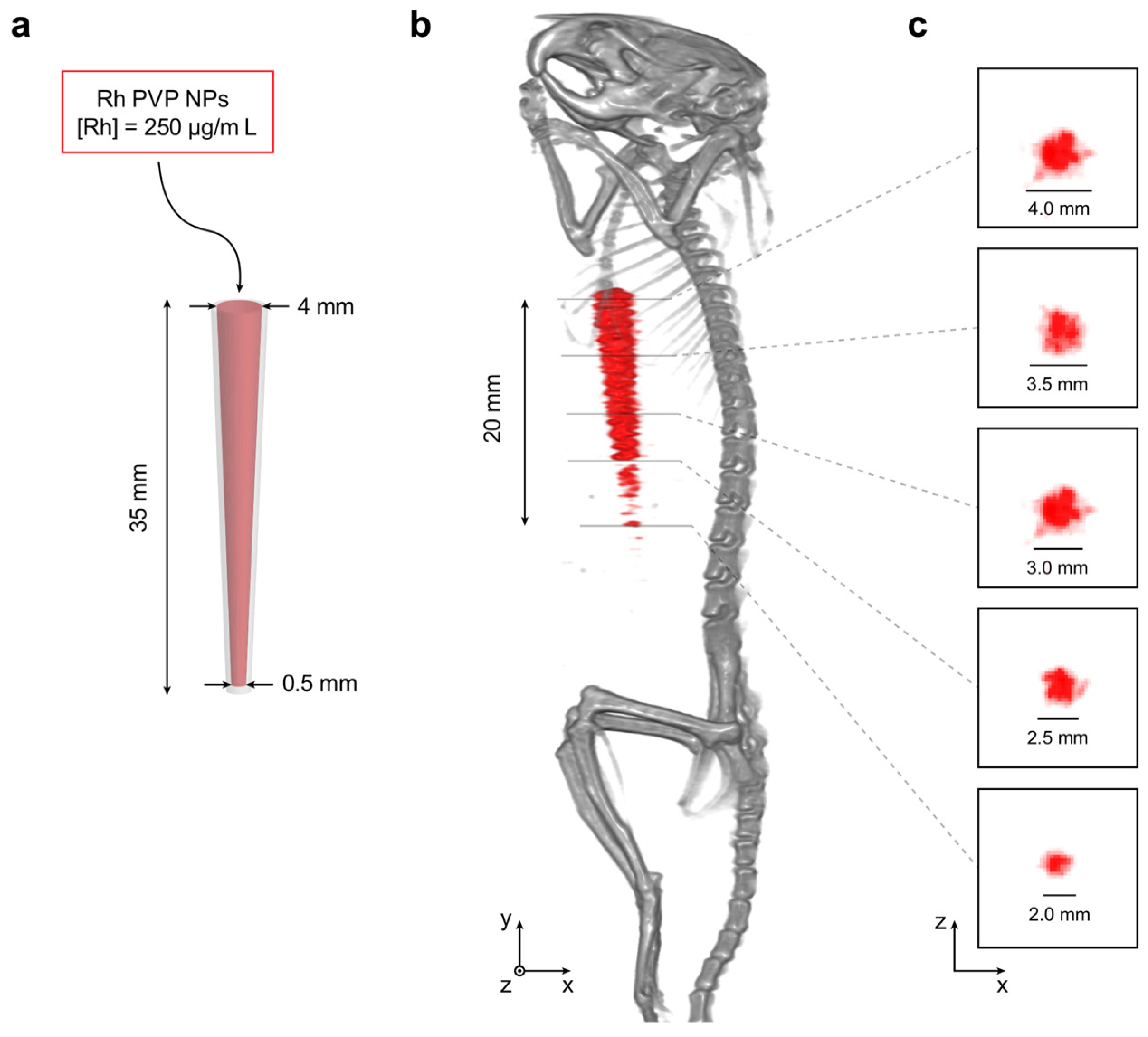 Nanomaterials 10 02129 g008 Nanomaterials 10 02129 g008