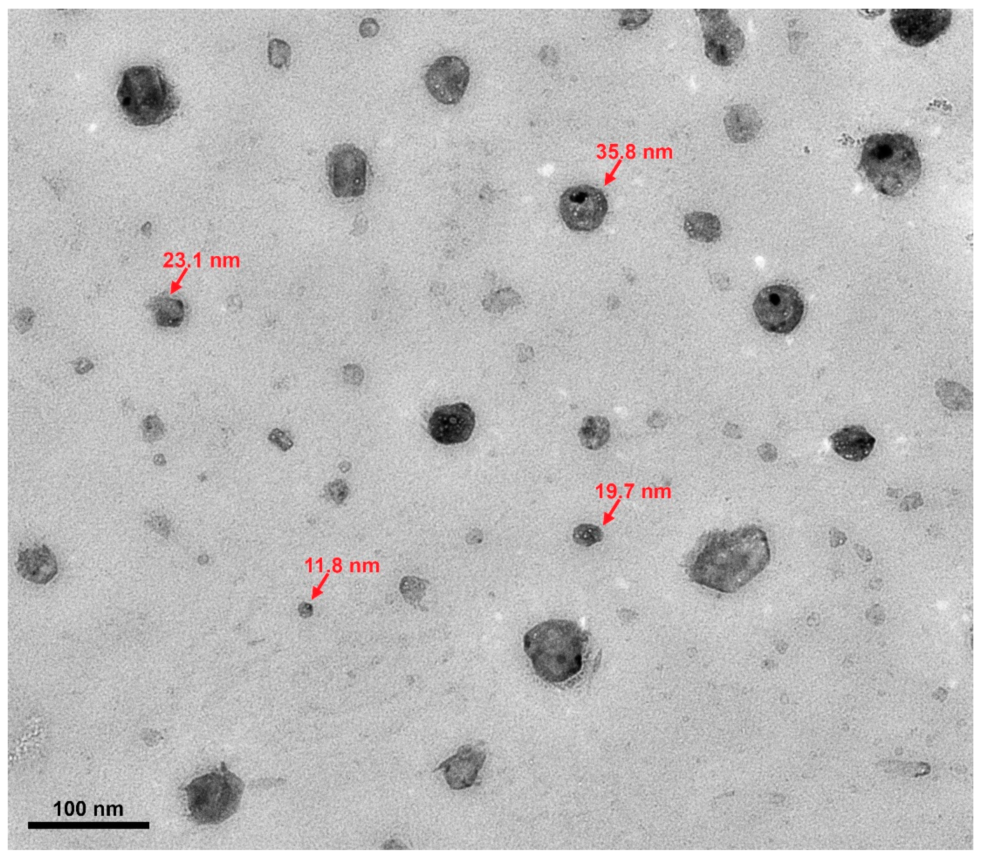 Nanomaterials 10 02131 g005 Nanomaterials 10 02131 g005