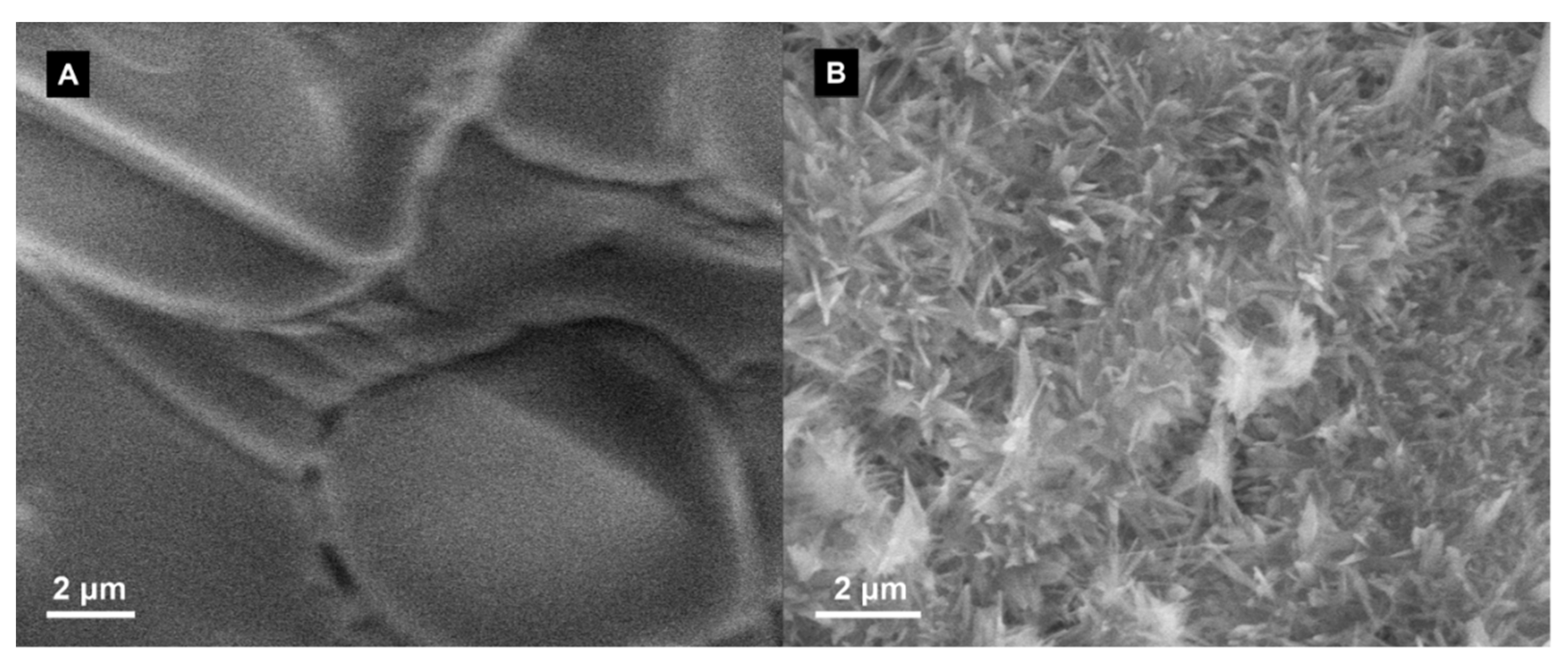 Nanomaterials 10 02131 g006 Nanomaterials 10 02131 g006