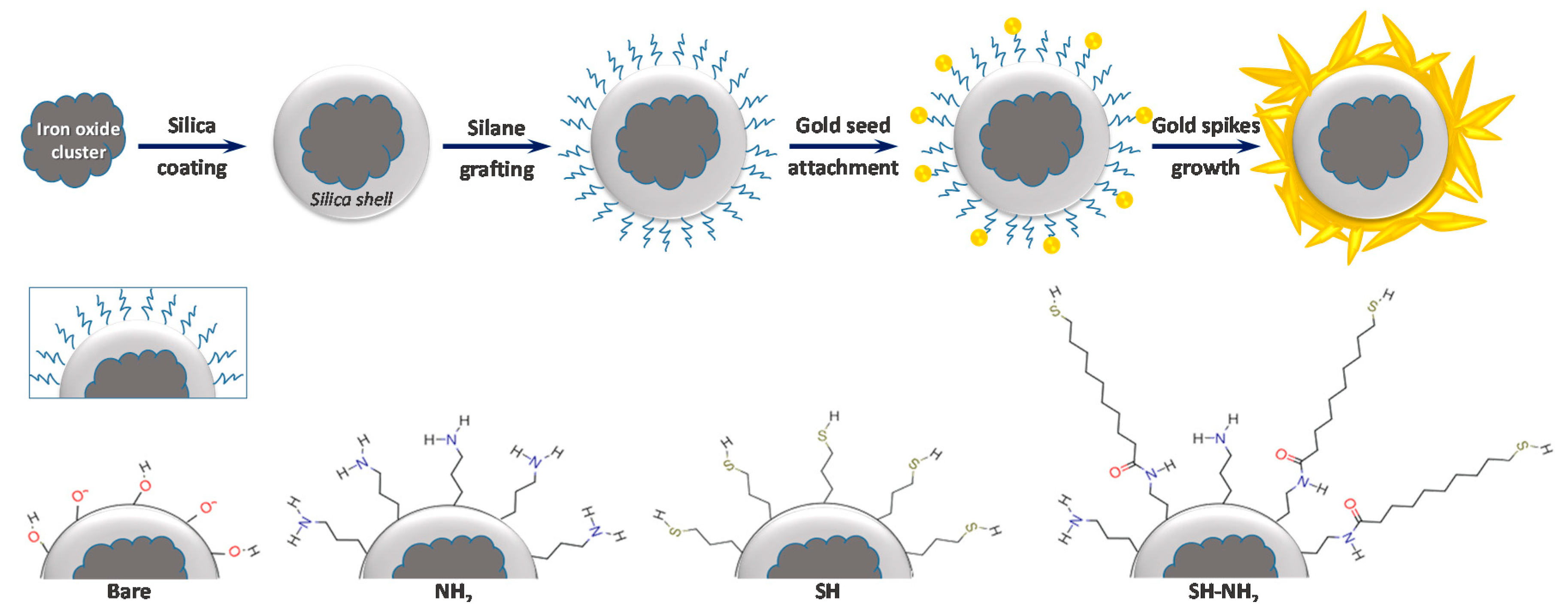 Nanomaterials 10 02136 g001