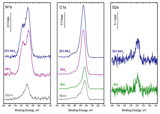 Nanostructured and Spiky Gold Shell Growth on Magnetic Nanostructured and Spiky Gold Shell Growth on Magnetic