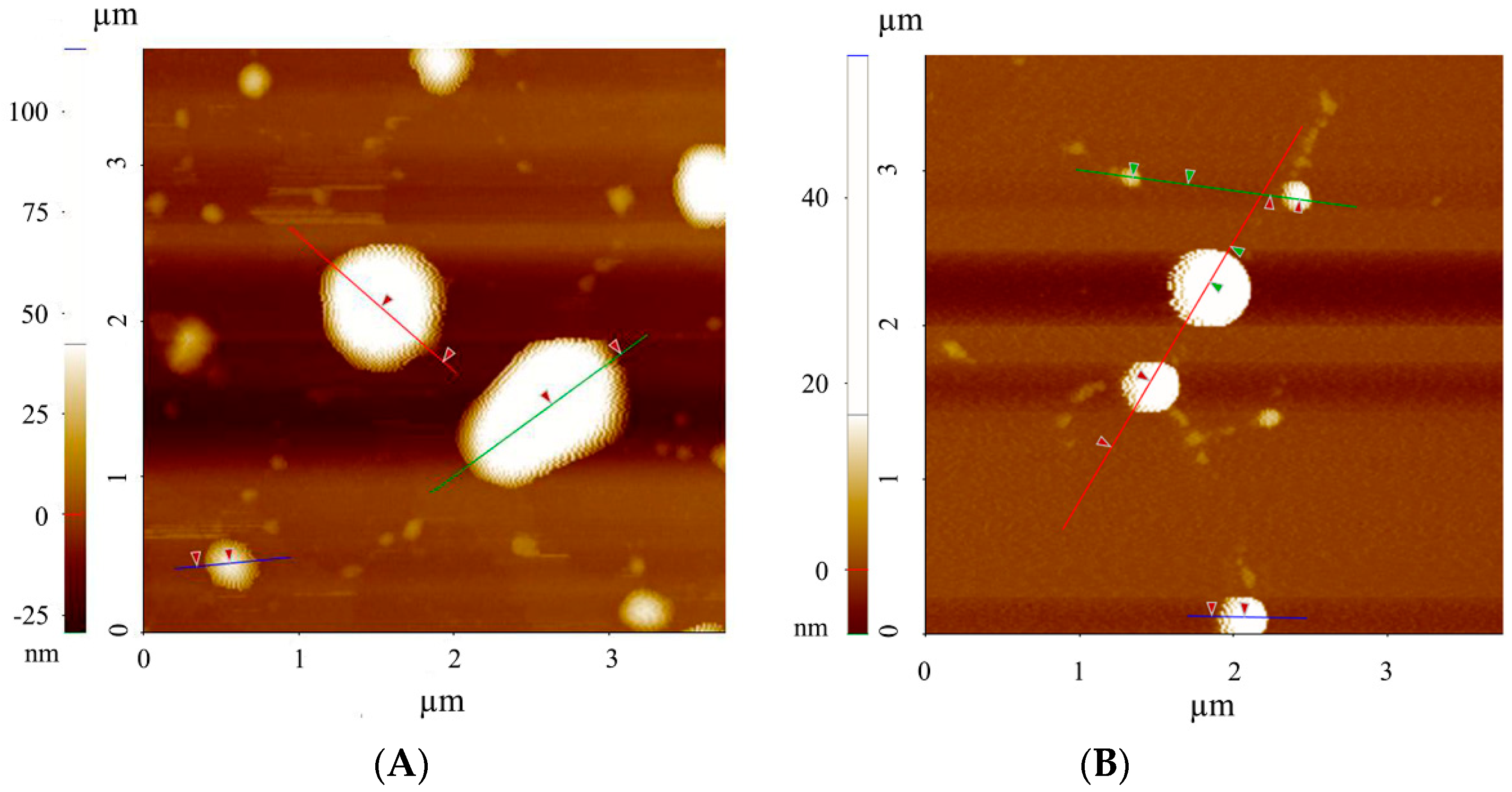 Nanomaterials 10 02138 g003