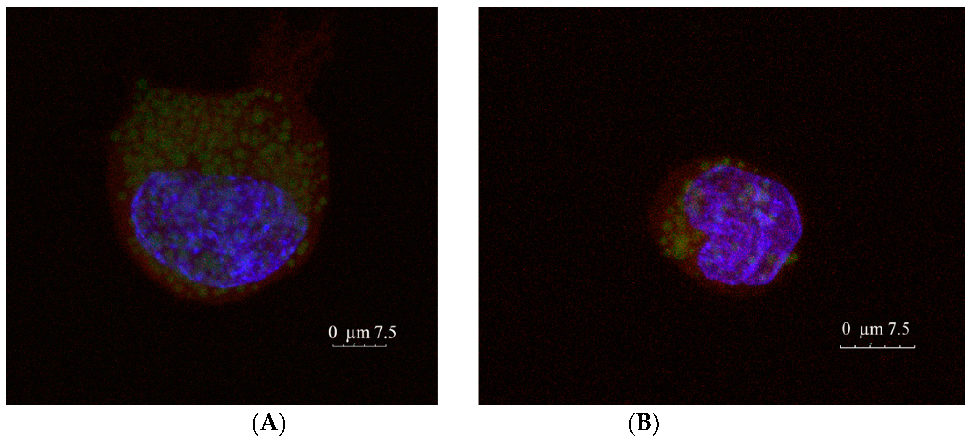 Nanomaterials 10 02138 g007