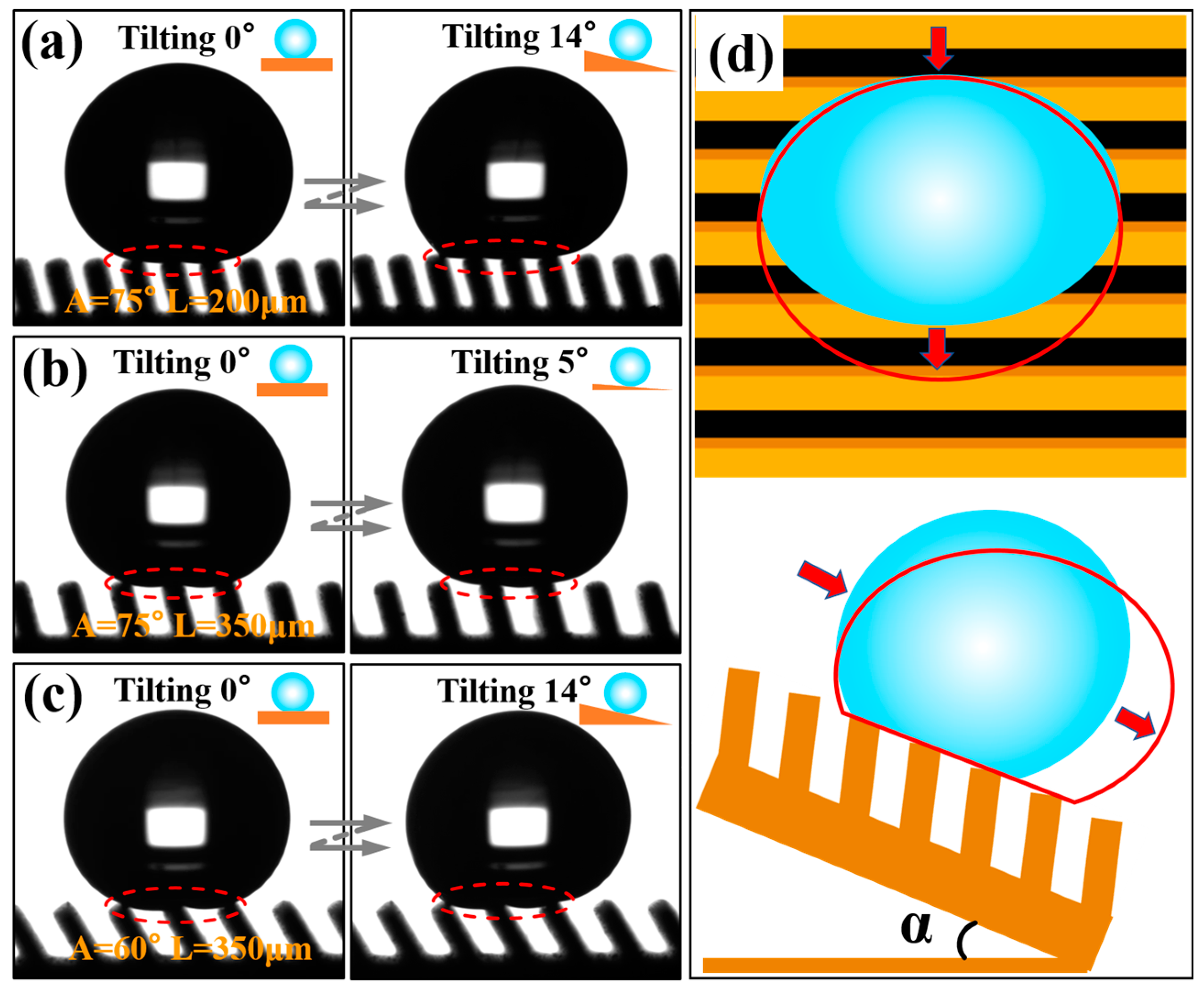 Nanomaterials 10 02140 g011