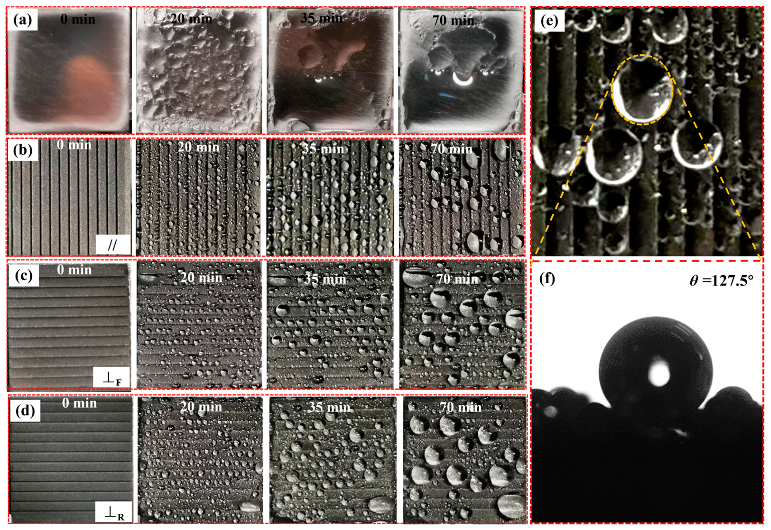 Nanomaterials 10 02140 g012