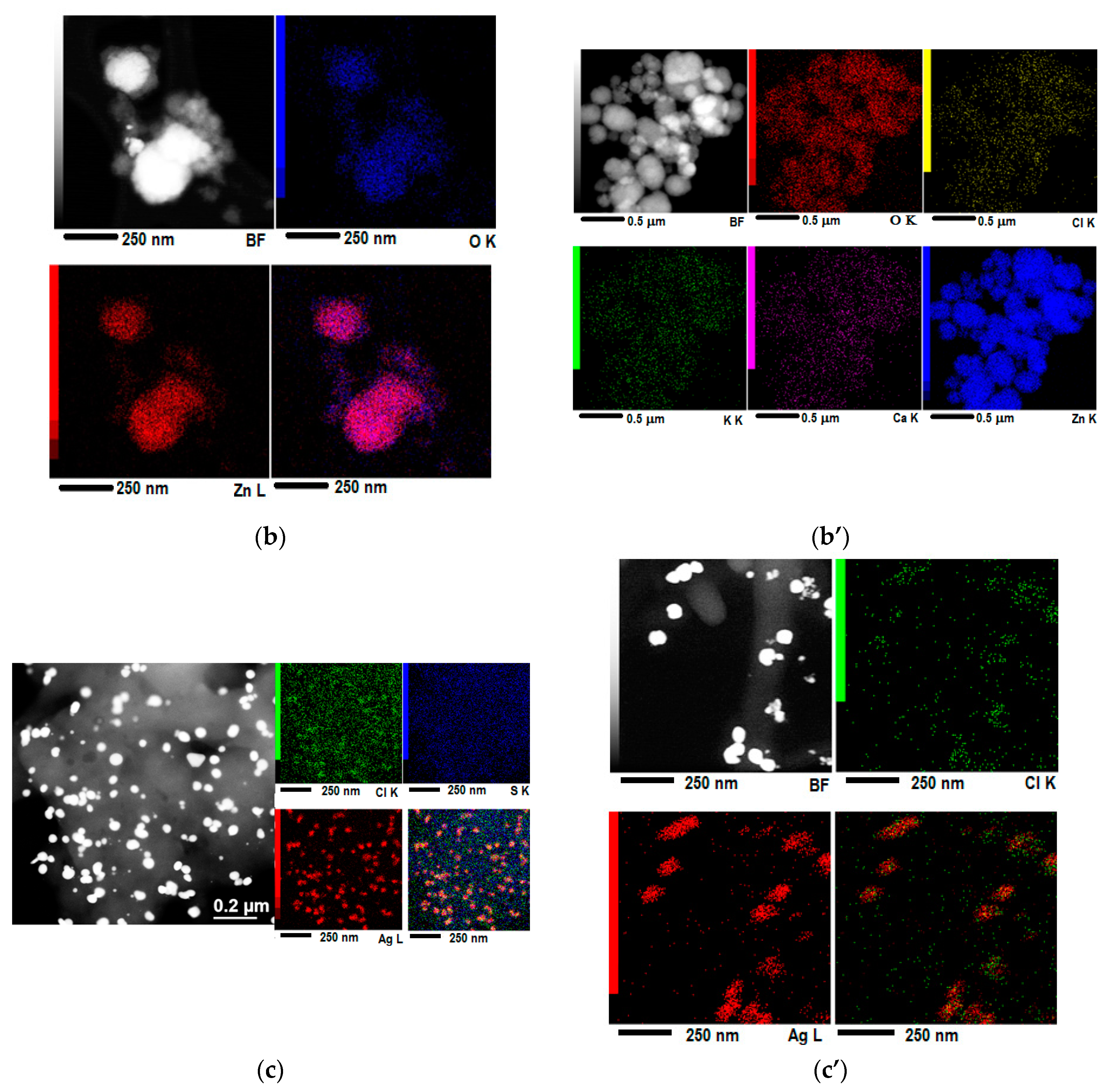 Nanomaterials 10 02146 g004b Nanomaterials 10 02146 g004b