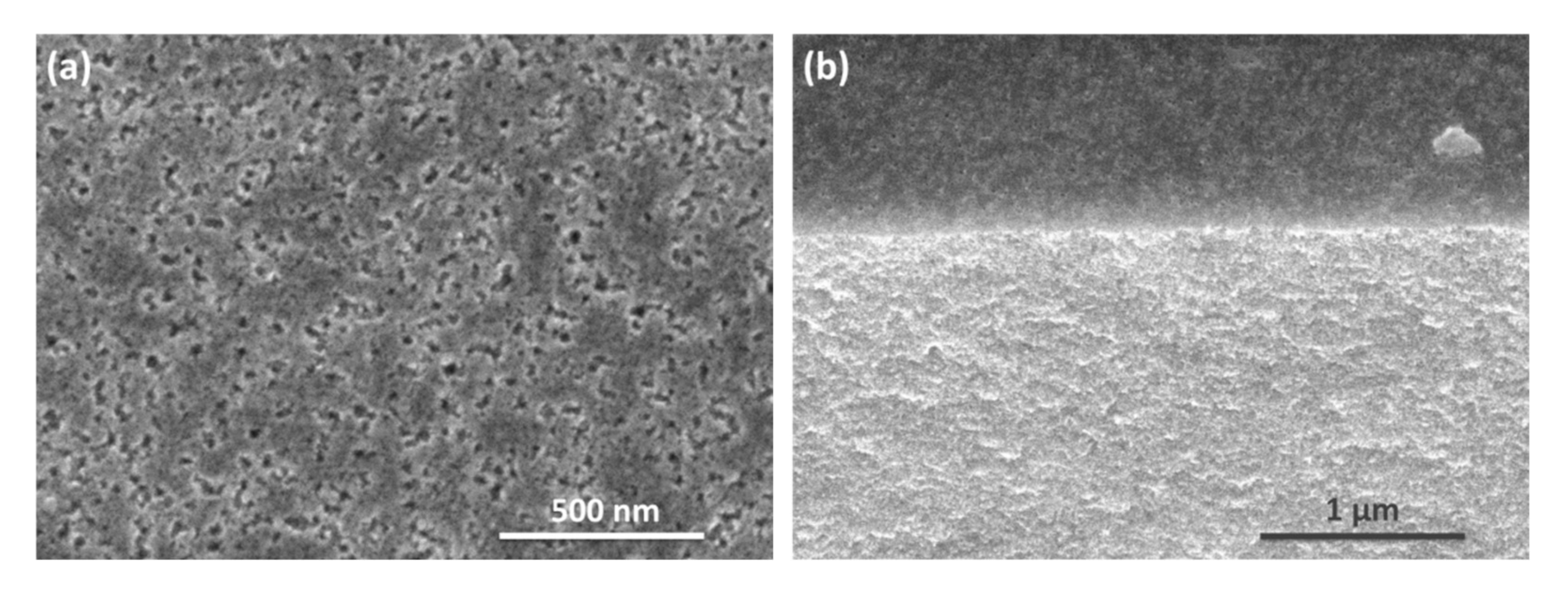 Nanomaterials 10 02151 g001 Nanomaterials 10 02151 g001
