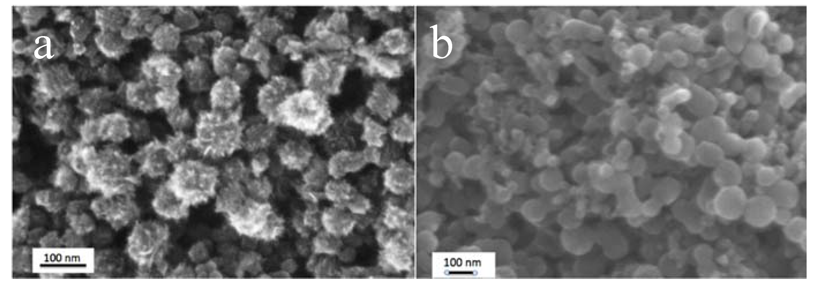 Nanomaterials 10 02160 g007