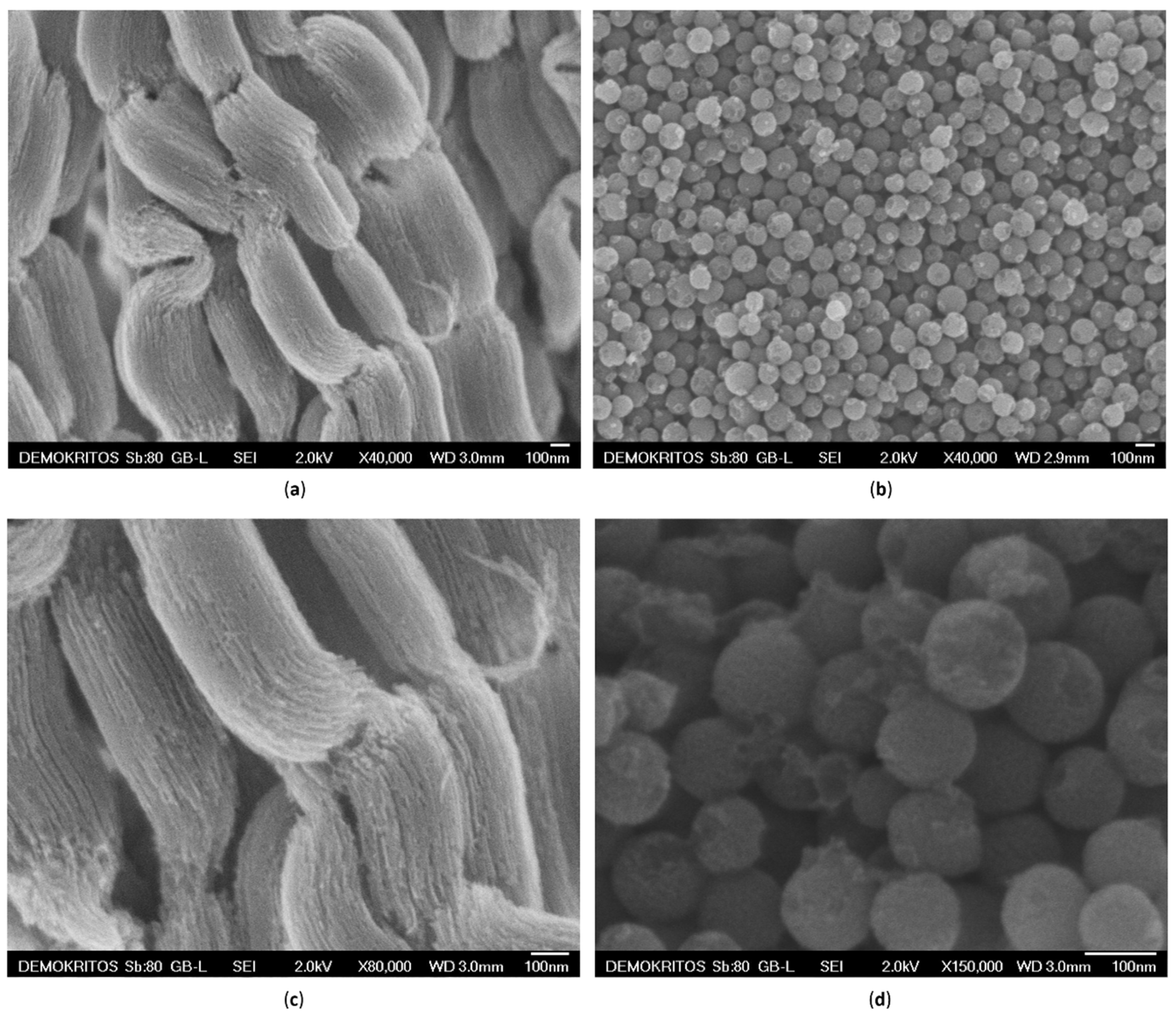 Nanomaterials 10 02165 g001