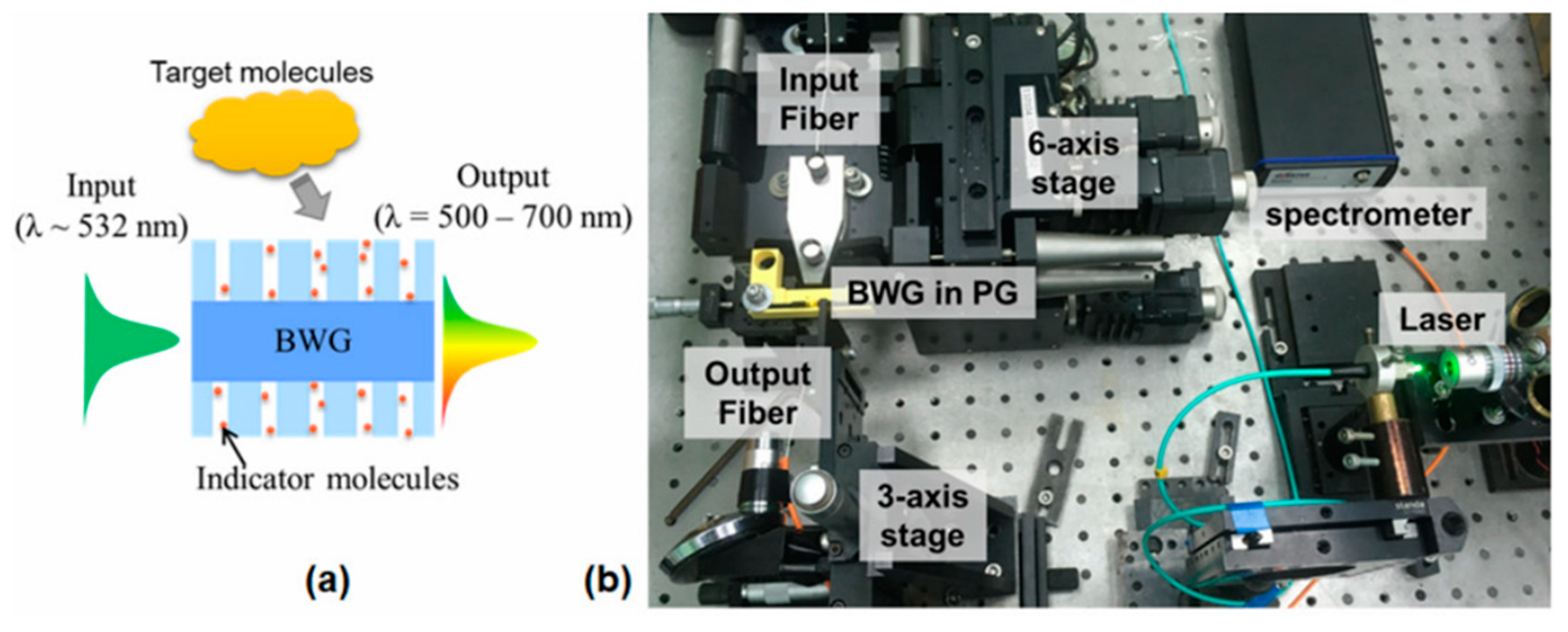 Nanomaterials 10 02169 g002