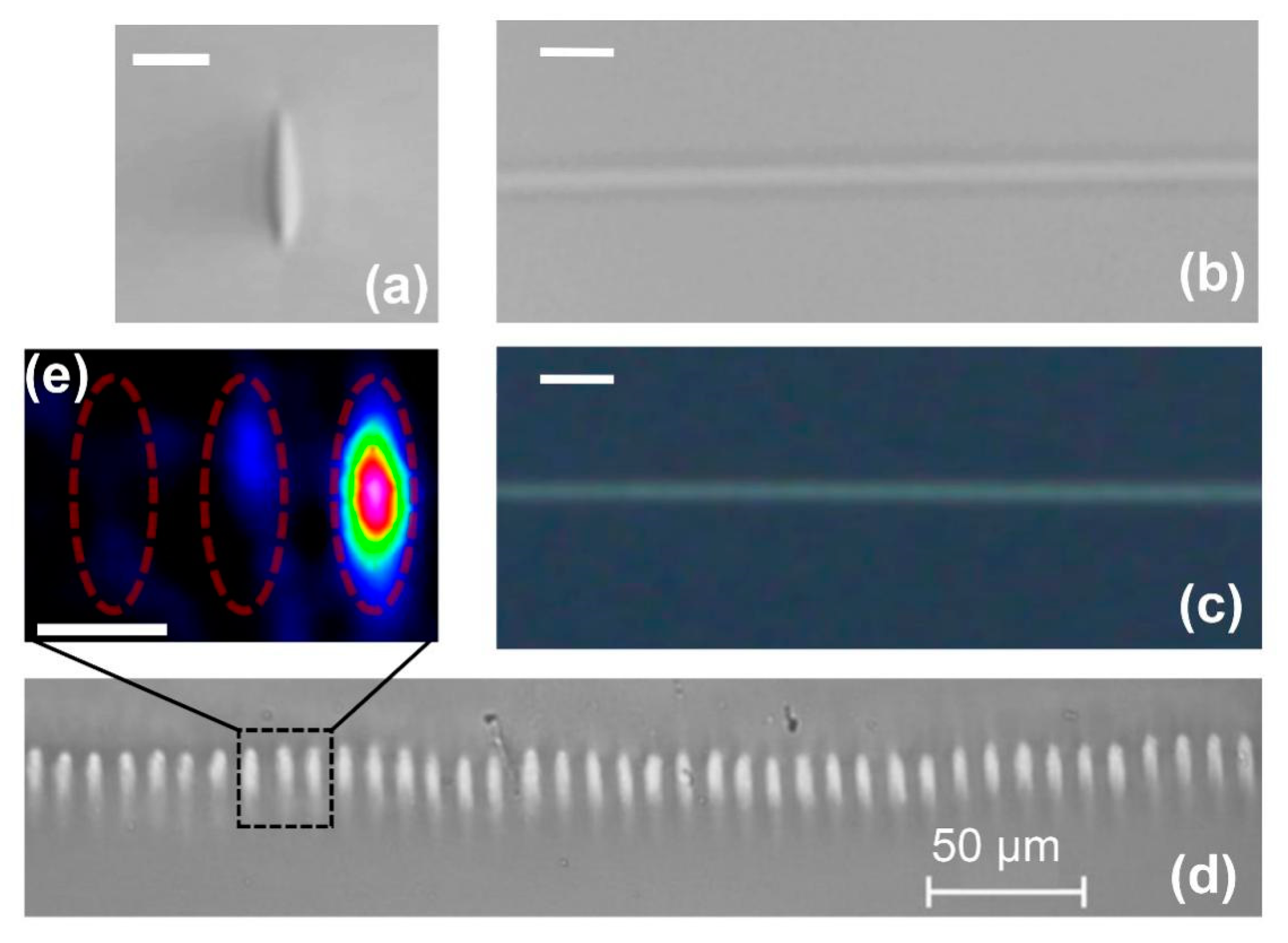 Nanomaterials 10 02169 g003