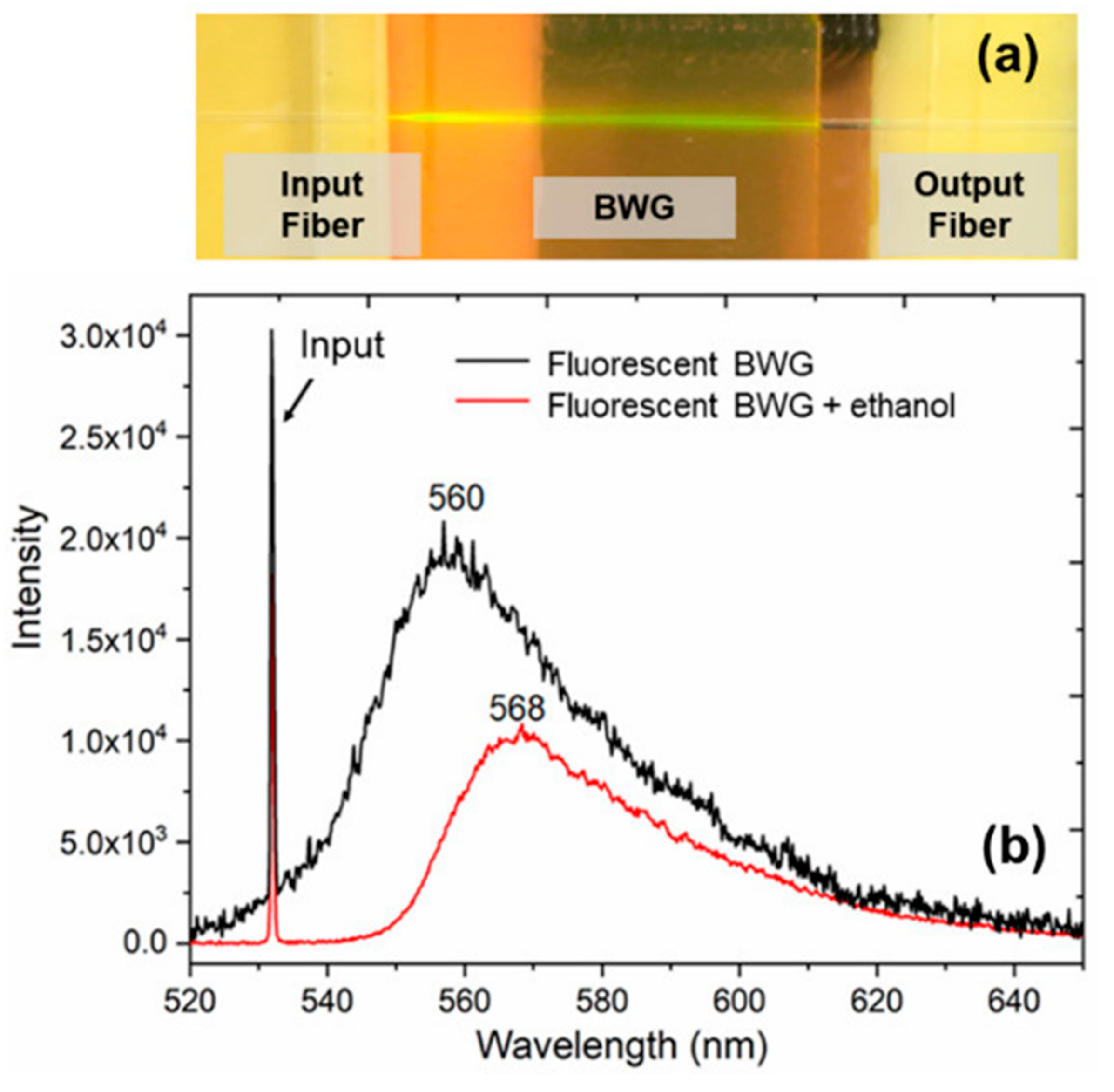 Nanomaterials 10 02169 g006