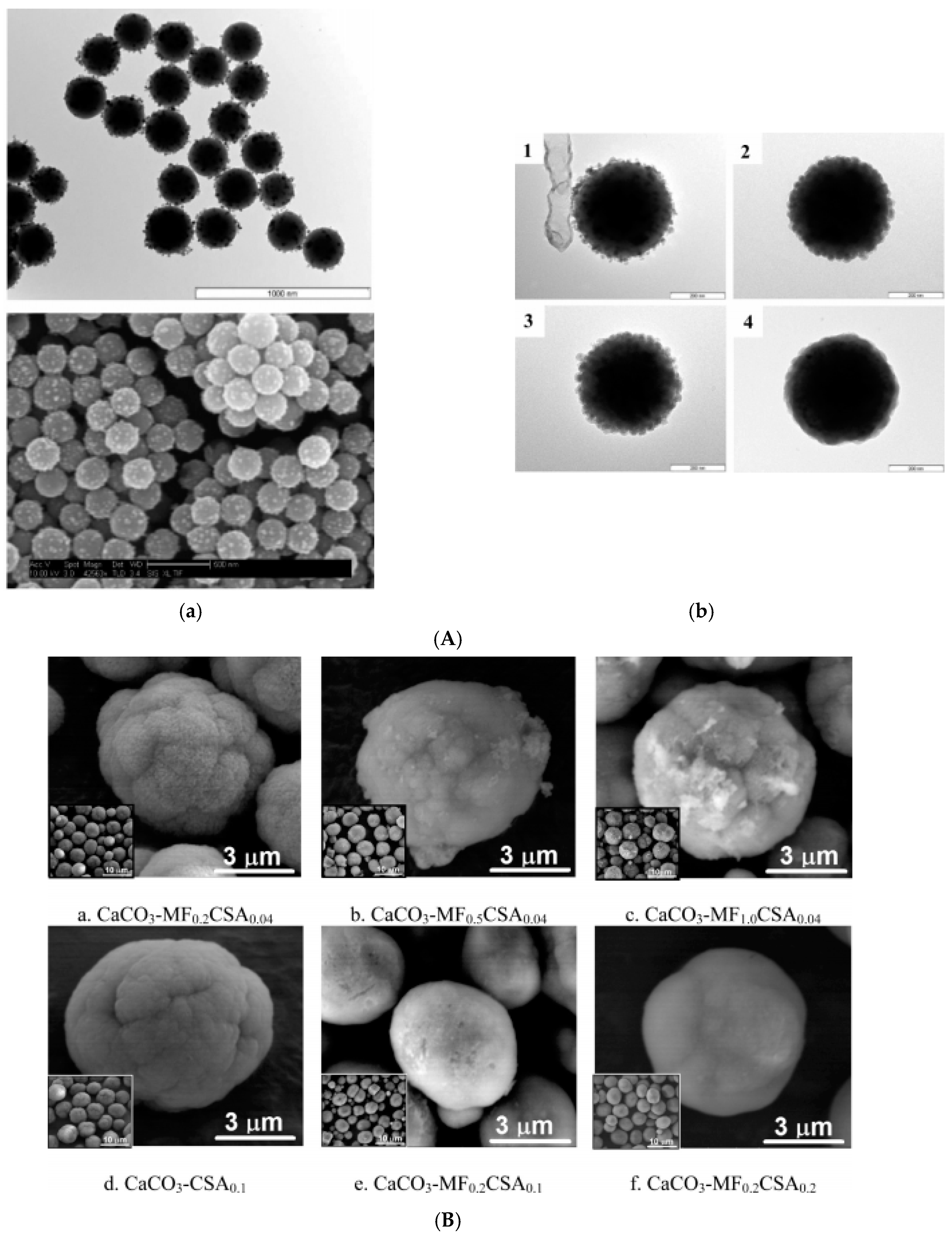 Nanomaterials Free Full Text From Single Core Nanoparticles In Ferrofluids To Multi Core Magnetic Nanocomposites Assembly Strategies Structure And Magnetic Behavior Html