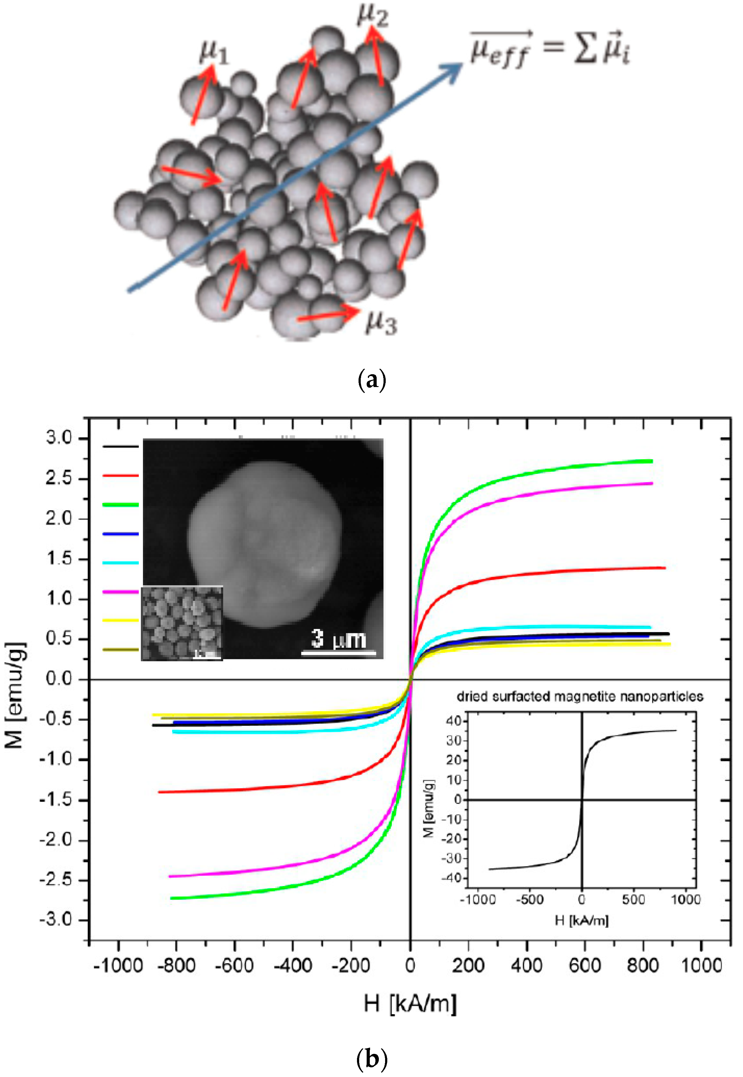 Nanomaterials Free Full Text From Single Core Nanoparticles In Ferrofluids To Multi Core Magnetic Nanocomposites Assembly Strategies Structure And Magnetic Behavior Html