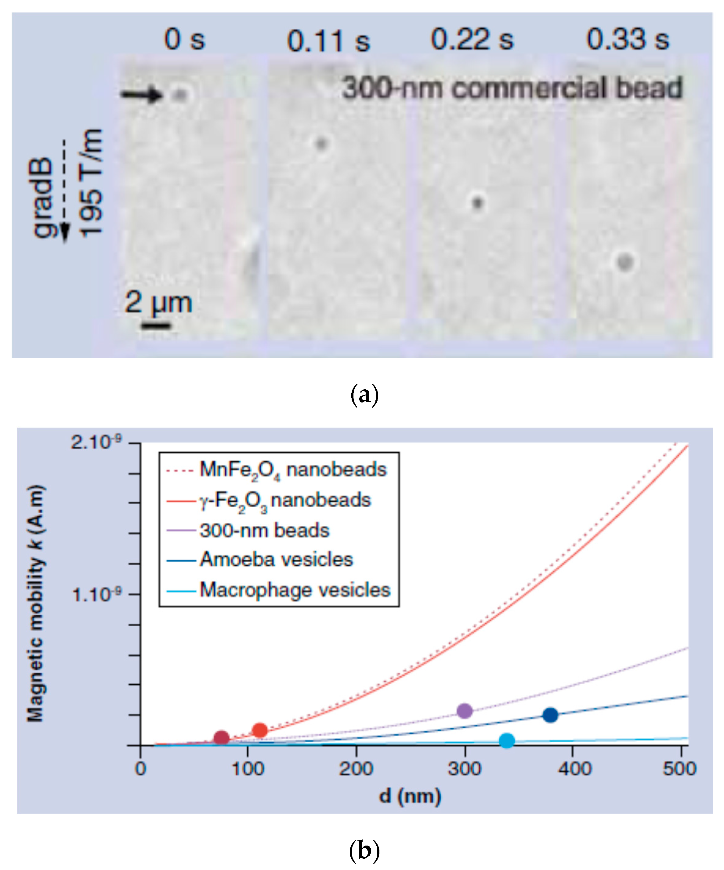 Nanomaterials Free Full Text From Single Core Nanoparticles In Ferrofluids To Multi Core Magnetic Nanocomposites Assembly Strategies Structure And Magnetic Behavior Html