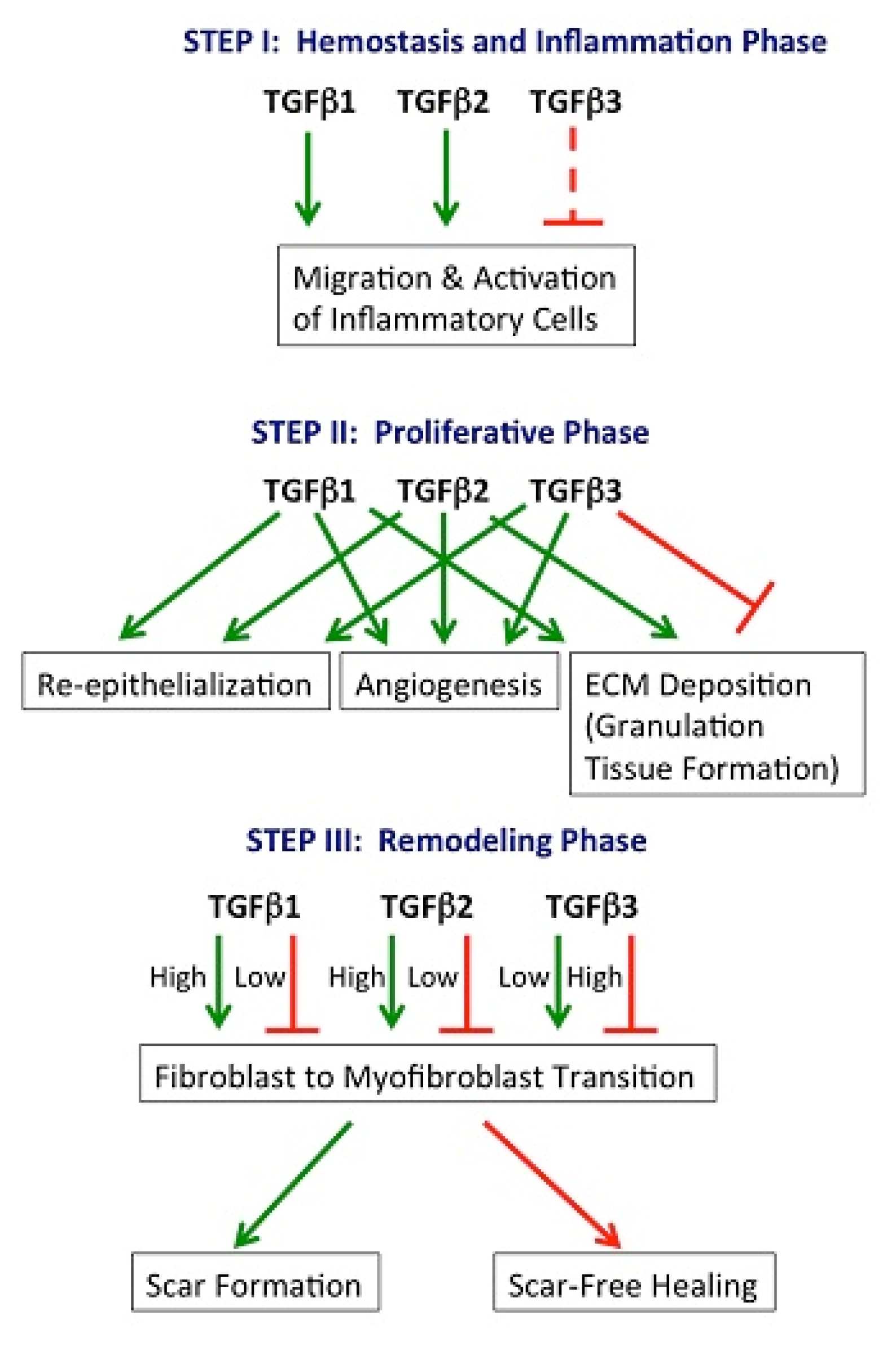 Nanomaterials 10 02179 g003 Nanomaterials 10 02179 g003