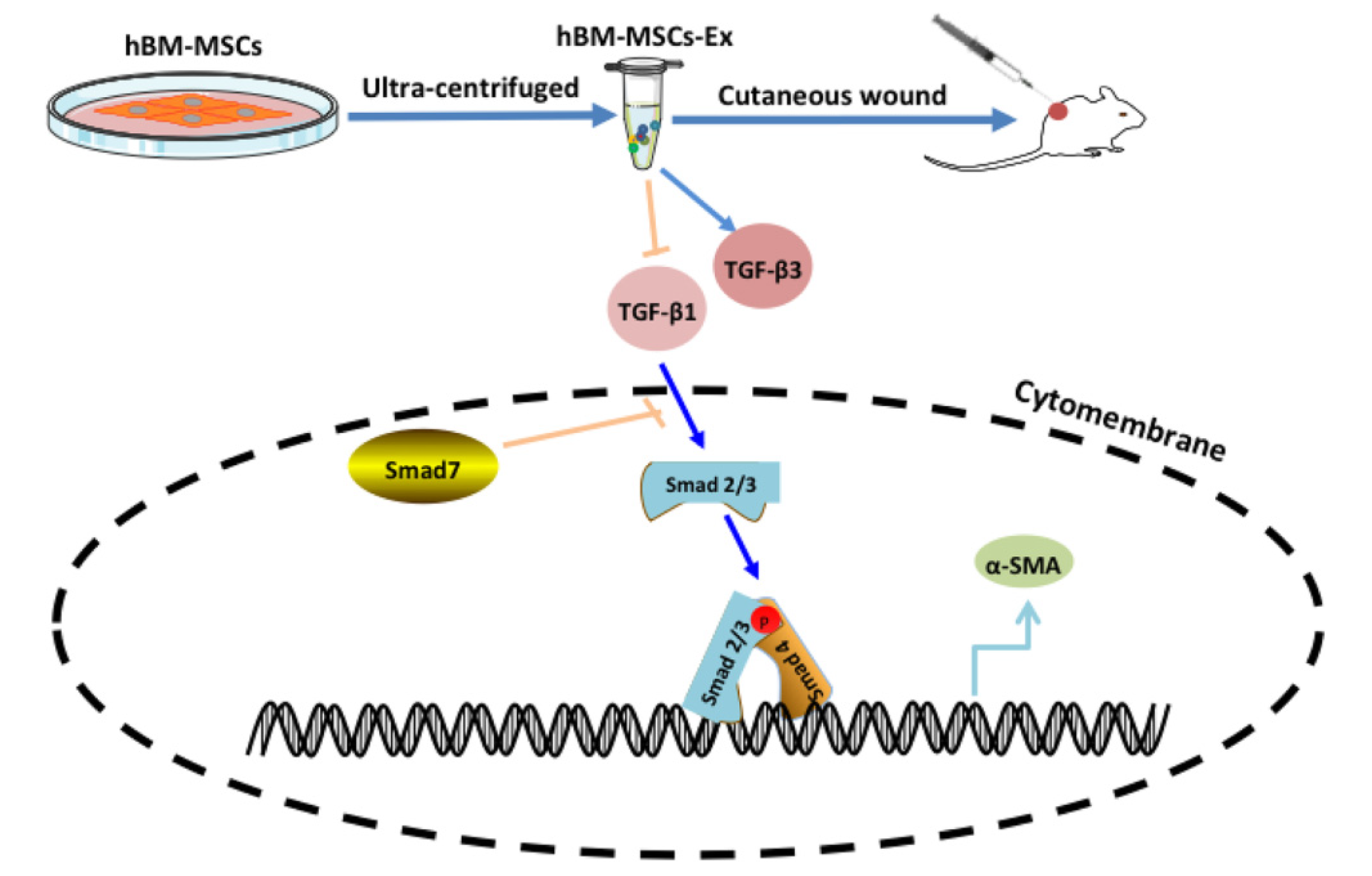 Nanomaterials 10 02179 g008 Nanomaterials 10 02179 g008
