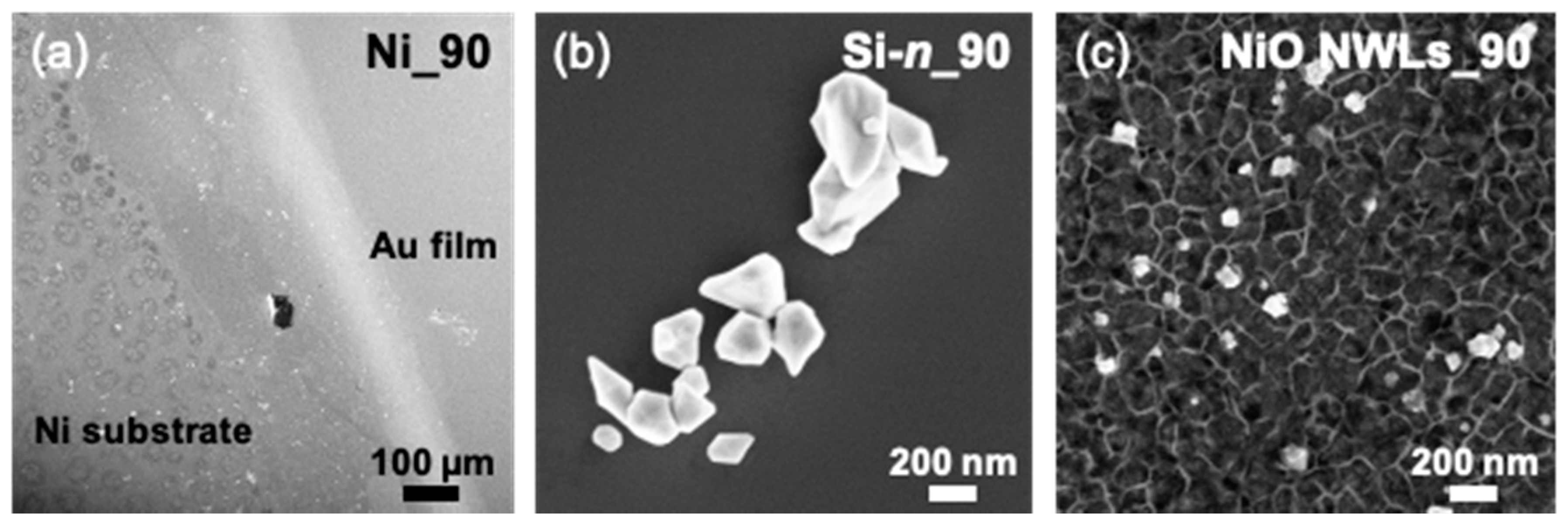 Nanomaterials 10 02180 g001 Nanomaterials 10 02180 g001