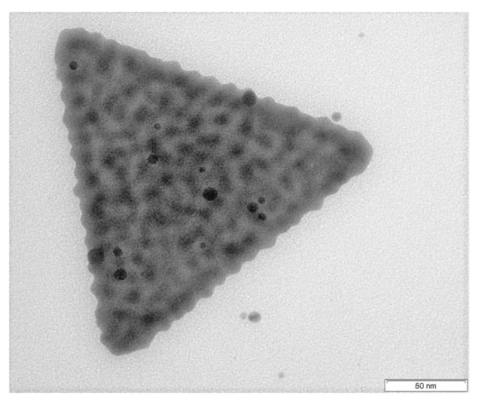 Nanomaterials 10 02187 g003