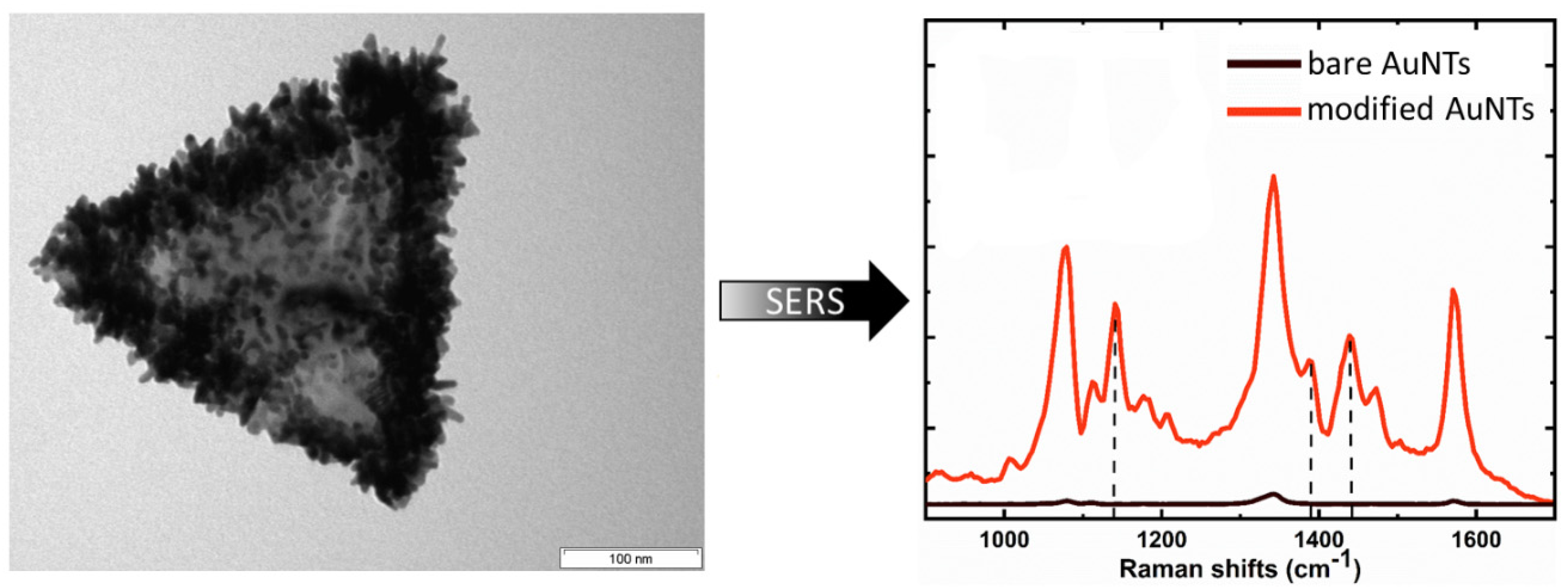 Nanomaterials 10 02187 g006