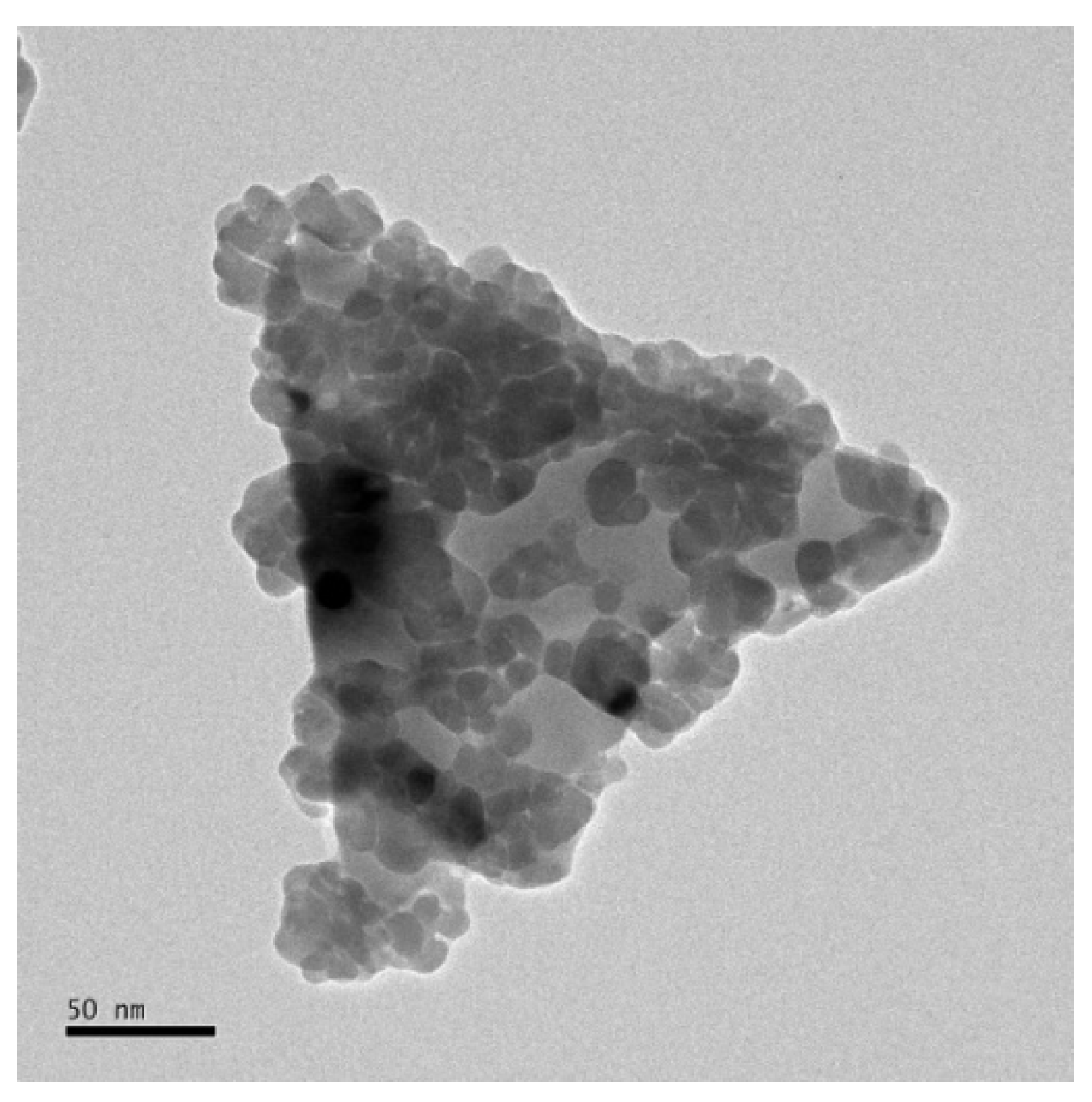 Nanomaterials 10 02187 g007