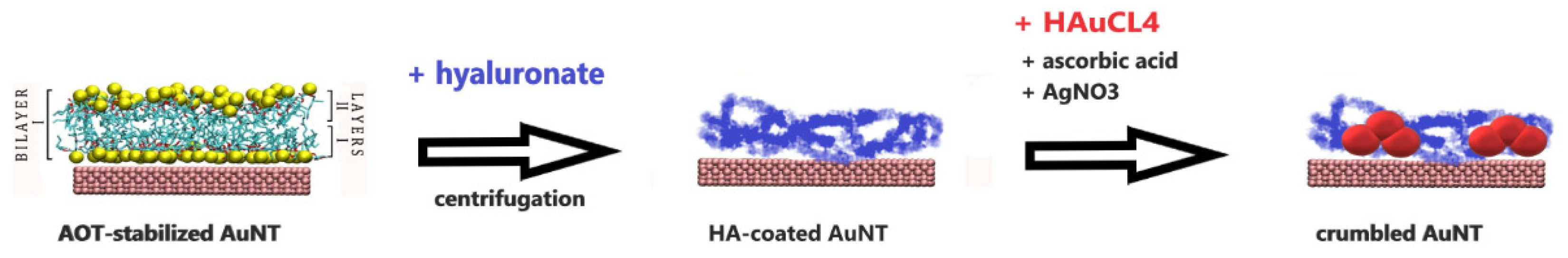 Nanomaterials 10 02187 sch003