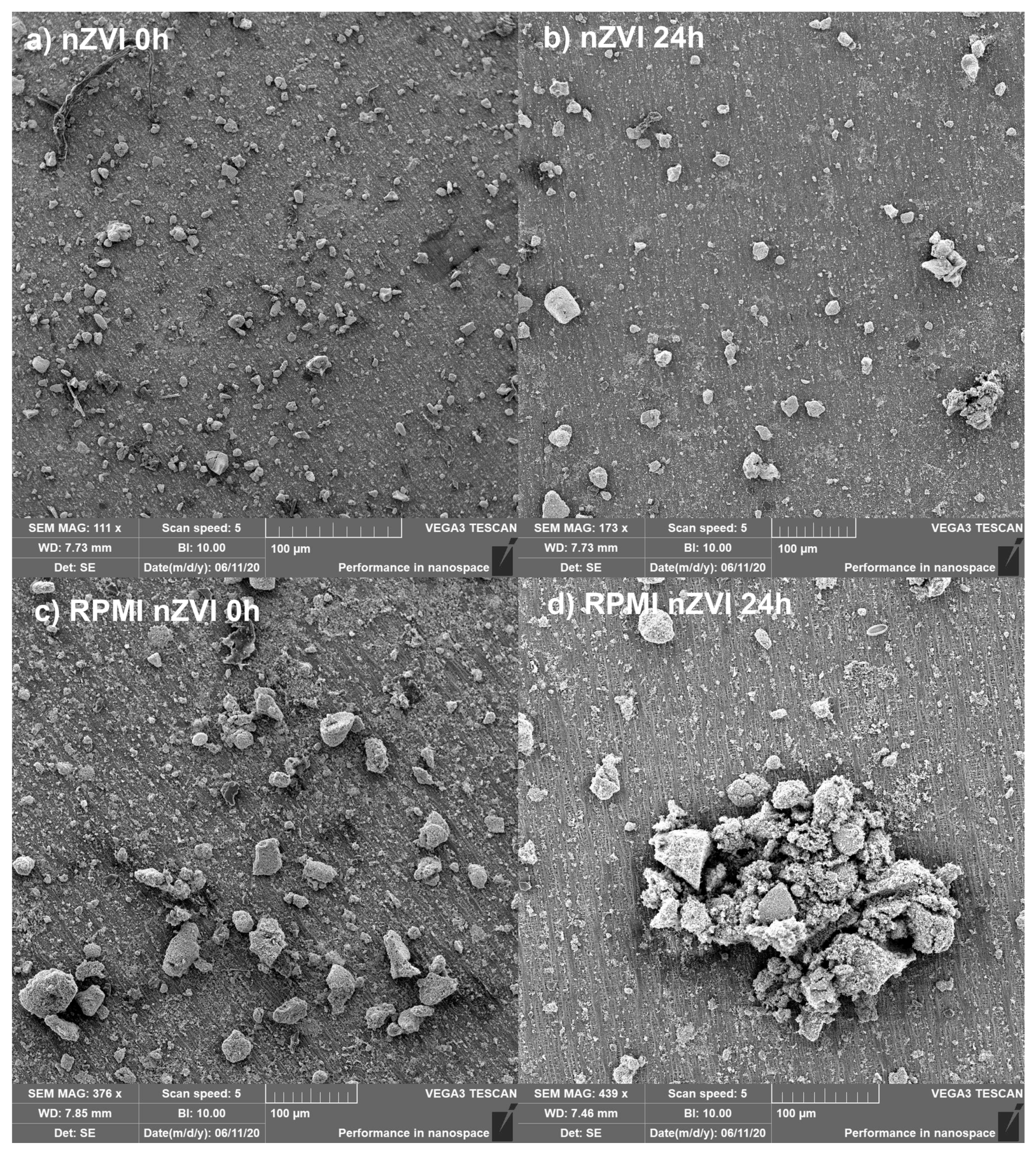 Nanomaterials 10 02189 g001