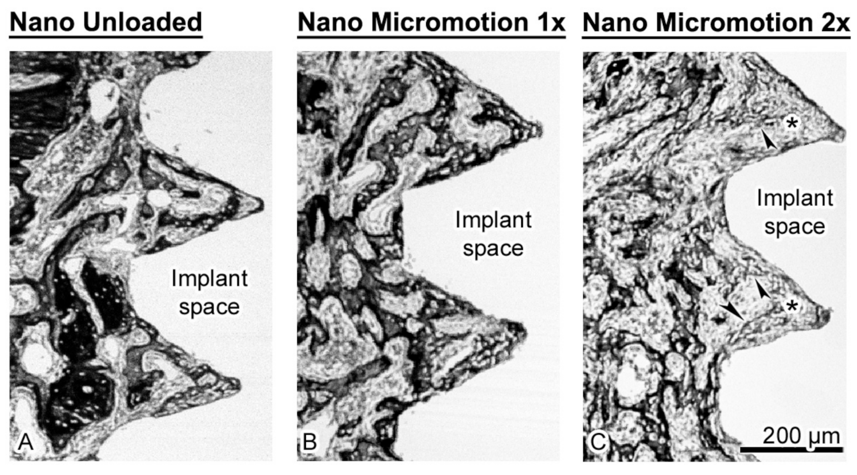 Nanomaterials 10 02191 g005 Nanomaterials 10 02191 g005