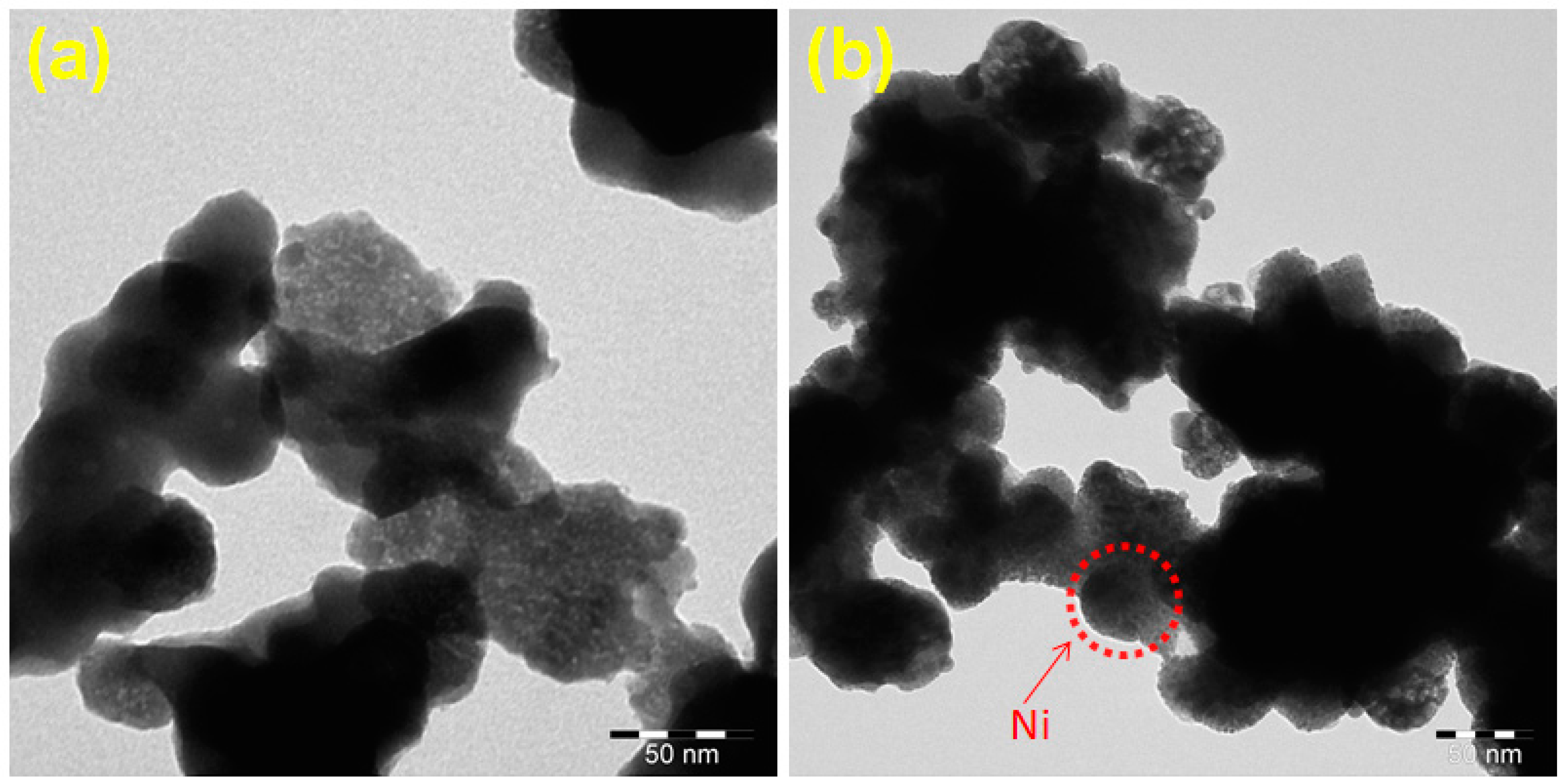 Nanomaterials 10 02195 g004 Nanomaterials 10 02195 g004