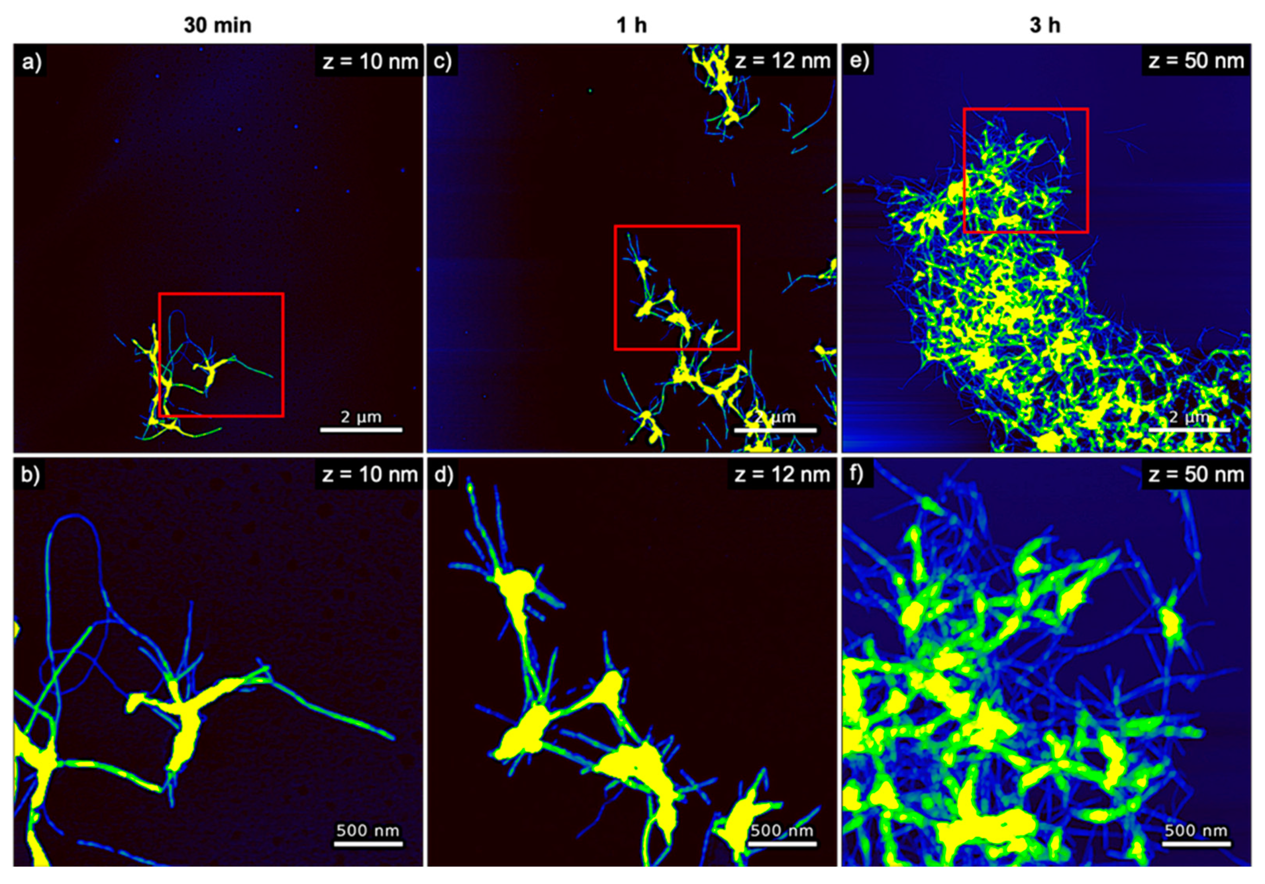 Nanomaterials 10 02200 g003 Nanomaterials 10 02200 g003