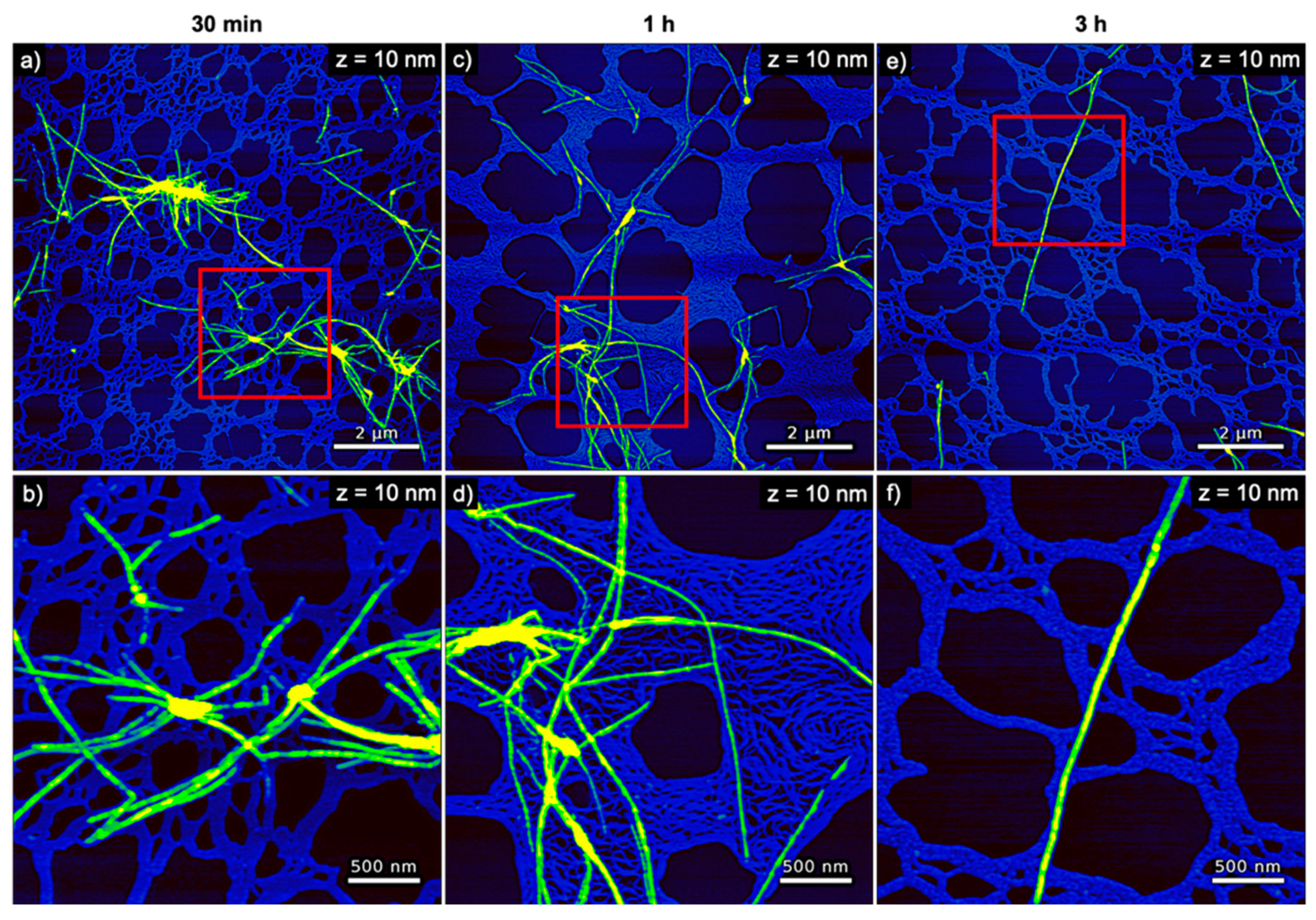 Nanomaterials 10 02200 g005 Nanomaterials 10 02200 g005
