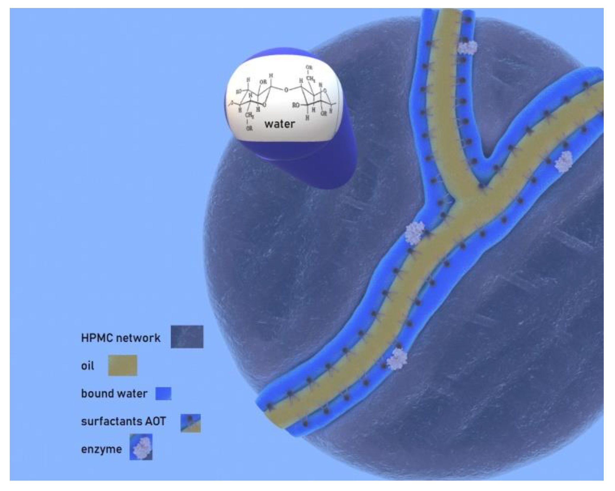 Nanomaterials 10 02204 g008