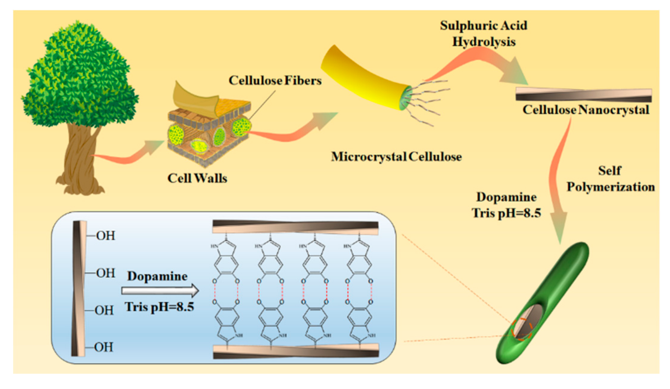 Nanomaterials 10 02210 g001 Nanomaterials 10 02210 g001