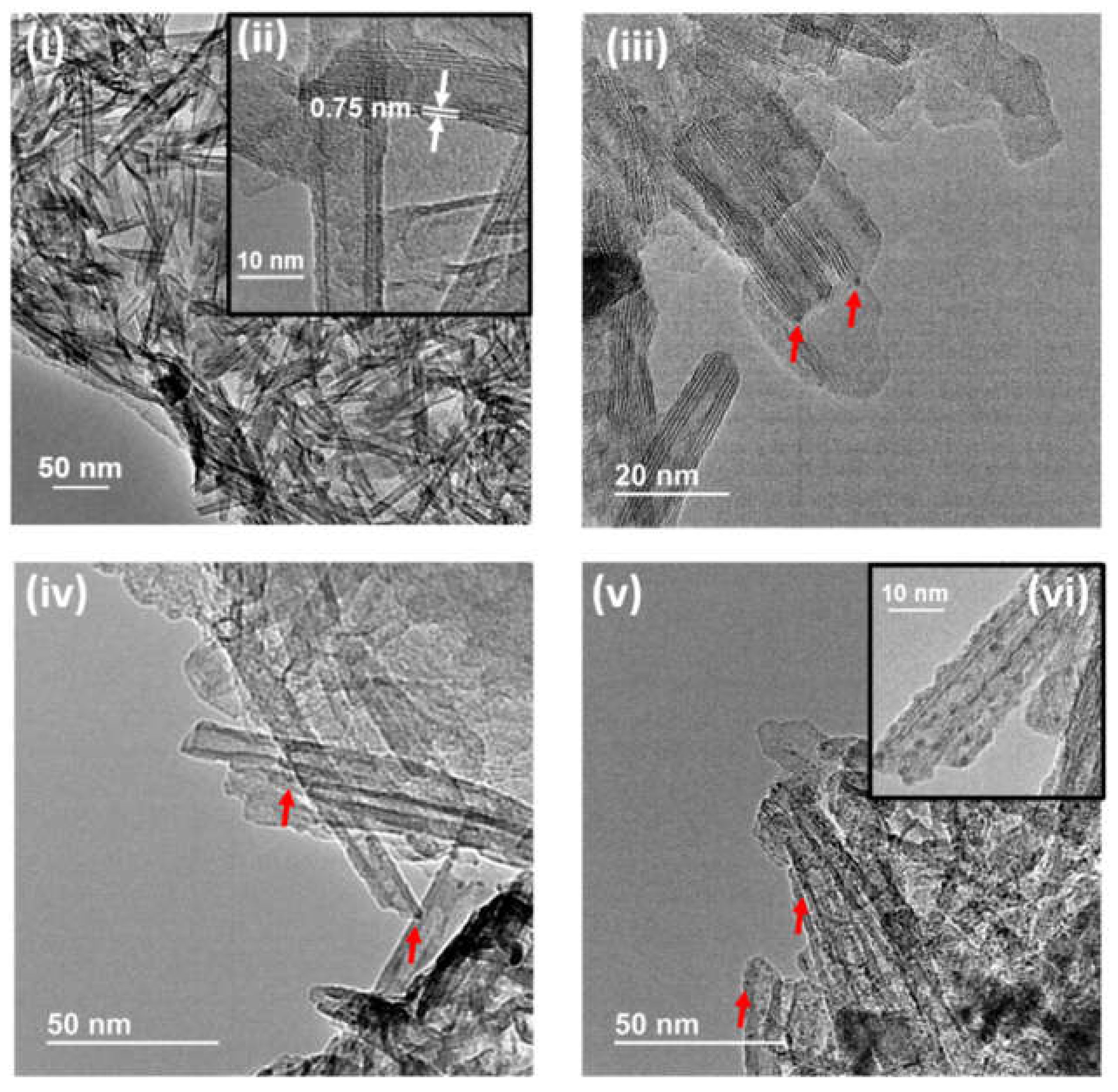 Nanomaterials 10 02212 g003